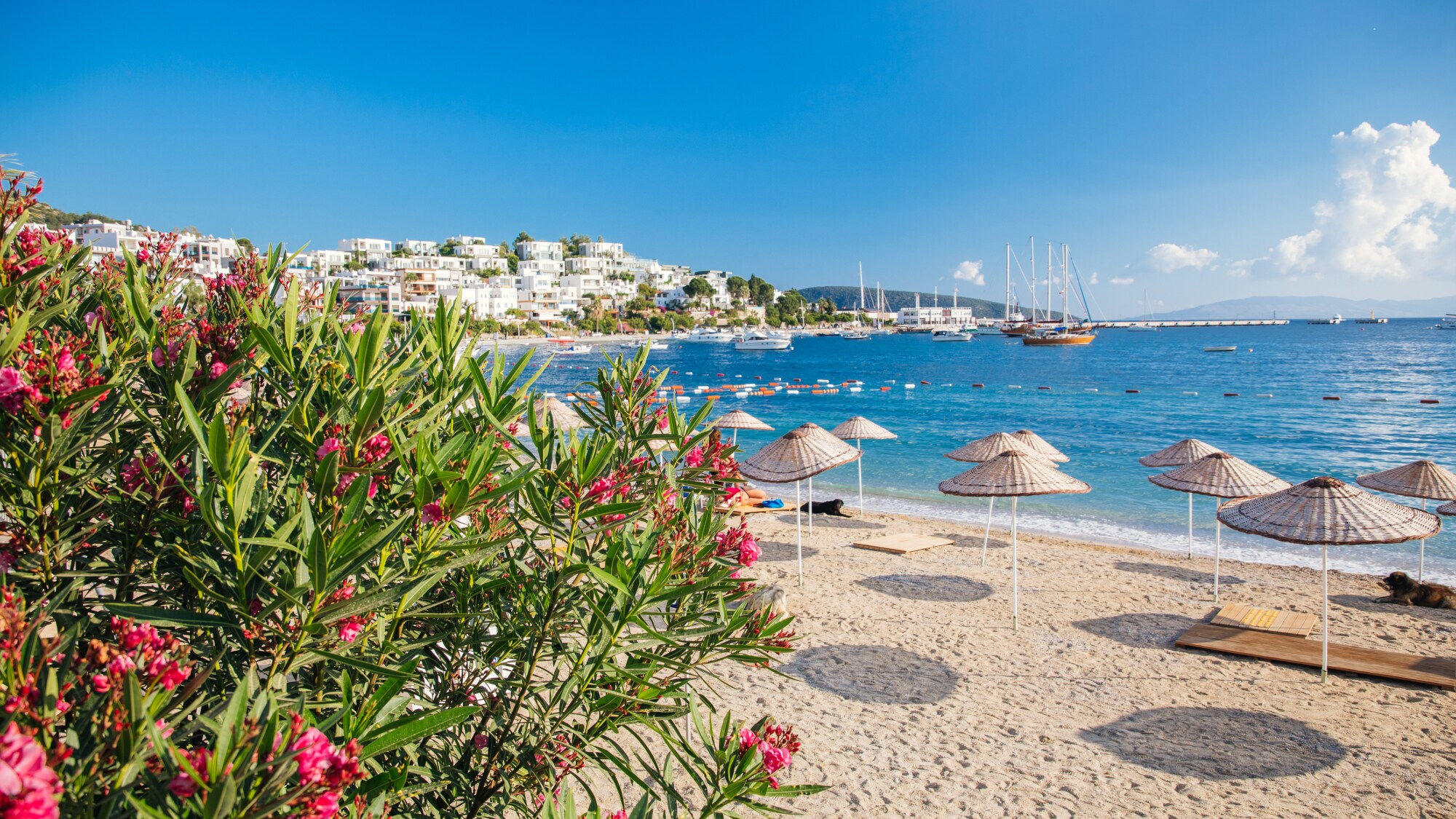 Strand in Bodrum mit Sonnenschirmen mit weißen Häusern an der Küste im Hintergrund. Strand in Bodrum mit Sonnenschirmen mit weißen Häusern an der Küste im Hintergrund.