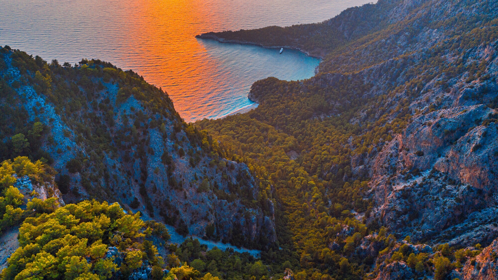 Panoramaaufnahme der Paradise Bay von oben, die von Wäldern und Felsen umgeben ist, bei Sonnenuntergang.