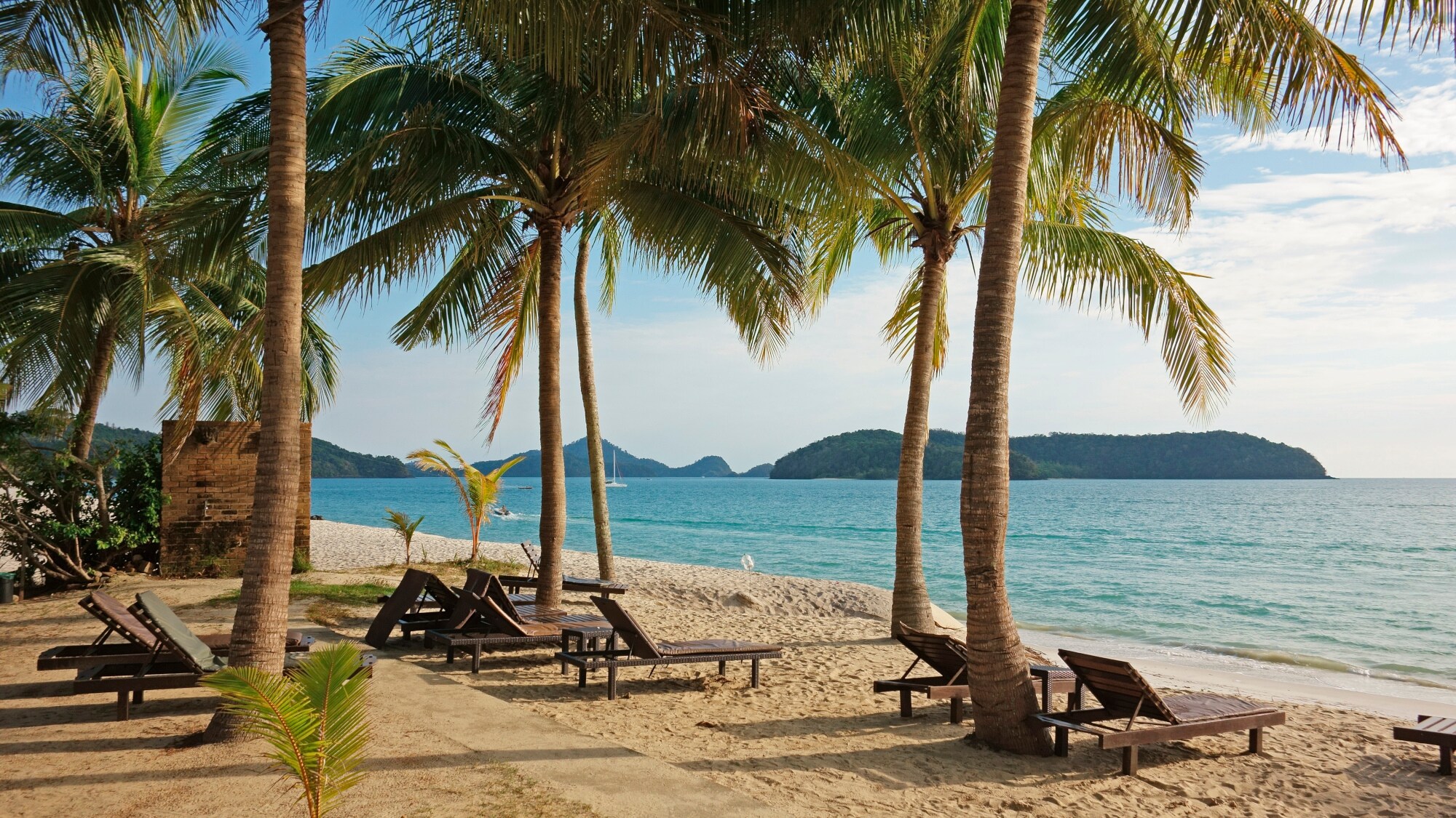 Strandabschnitt mit Palmen und Liegen aus Holz. Strandabschnitt mit Palmen und Liegen aus Holz.