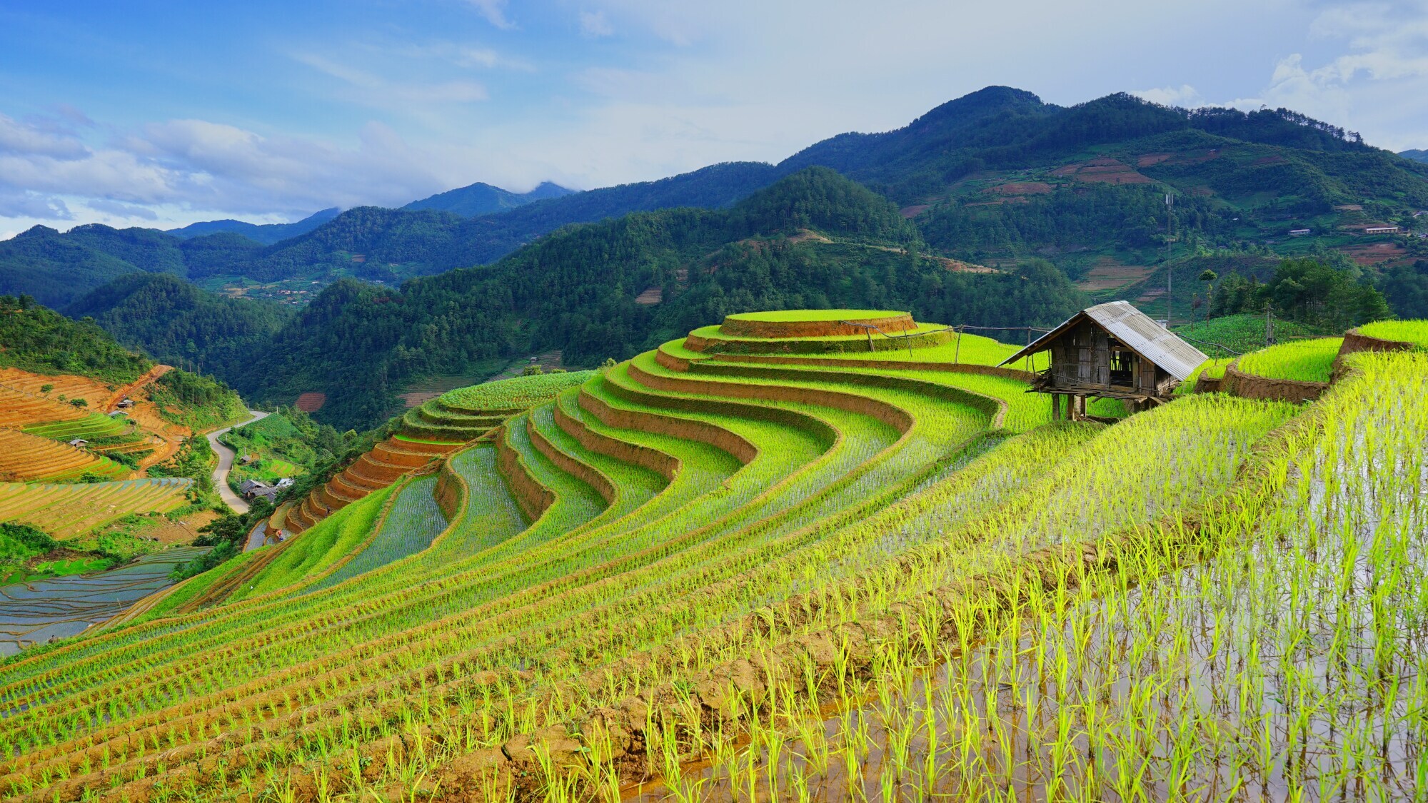 In Terrassen angelegte Reisfelder in der Nähe der vietnamesischen Stadt Sa Pa.
