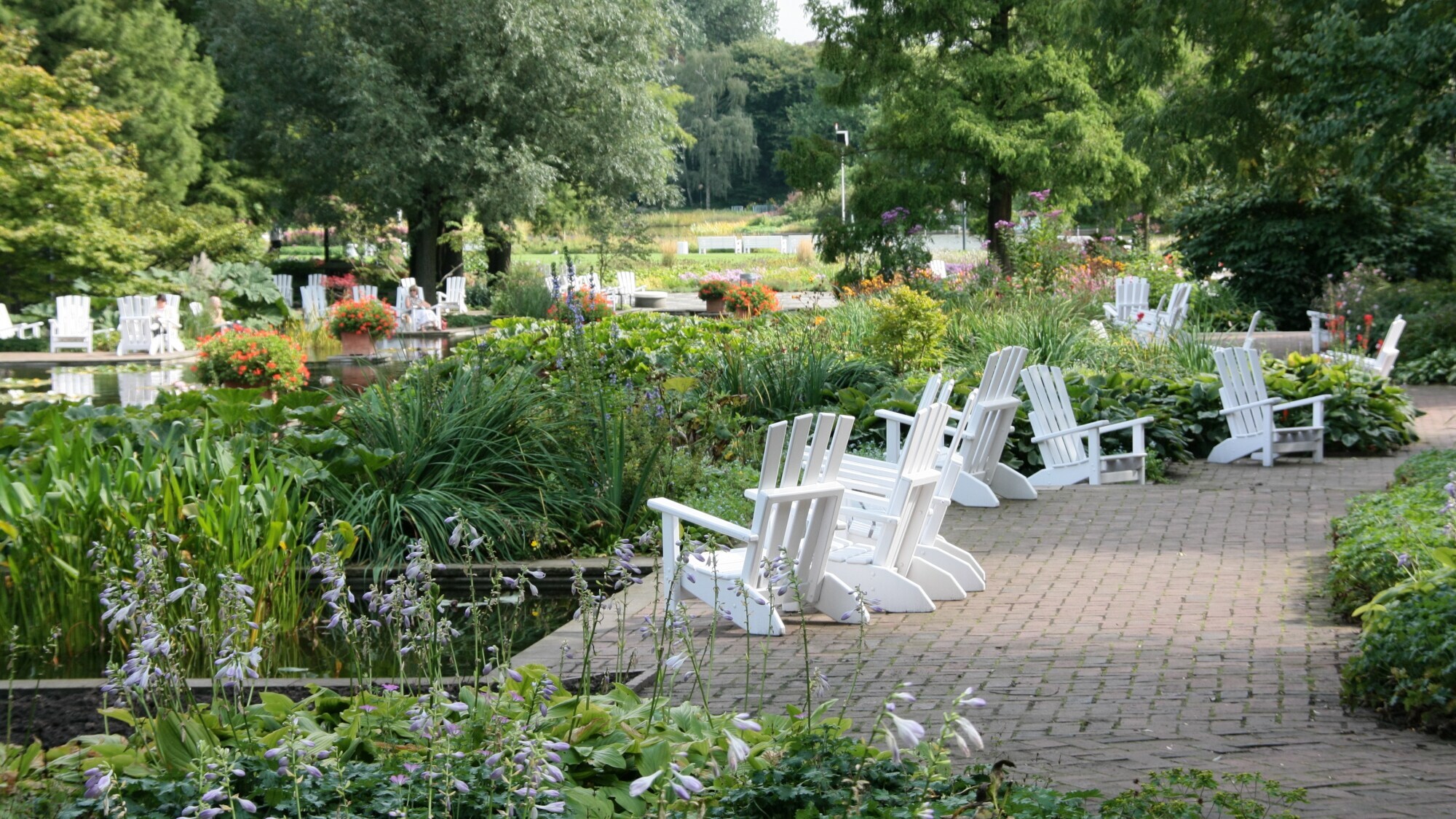 Mehrere weiße Holzstühle auf einer gepflasterten Fläche an einem Teich in einer Parkanlage mit Bäumen.