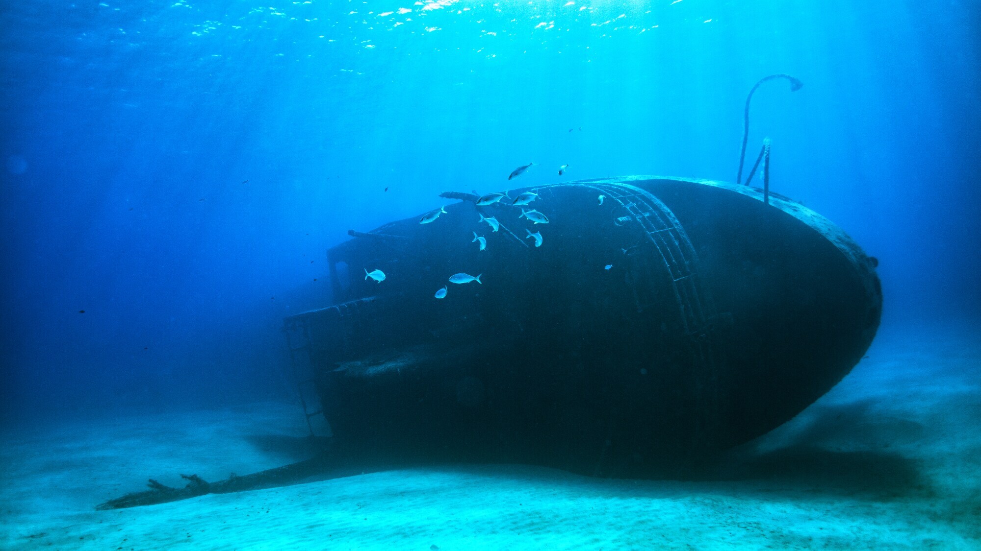 Ein Schiffswrack auf dem Meeresgrund, um das einige kleine Fische umherschwimmen.