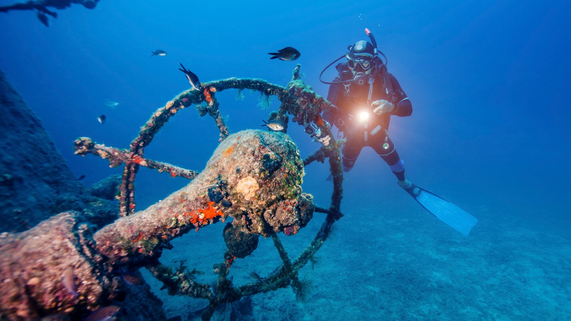 Eine Person mit Tauchausrüstung, die eine Taschenlampe in der Hand hält und ein überwuchertes Steuerrad eines Wracks betrachtet. Eine Person mit Tauchausrüstung, die eine Taschenlampe in der Hand hält und ein überwuchertes Steuerrad eines Wracks betrachtet.