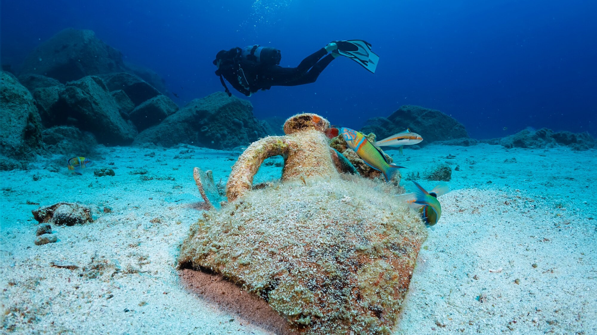 Eine zerbrochene Amphore auf dem Meeresgrund, die von bunten Fischen umgeben ist. Im Hintergrund schwimmt eine Person in Tauchausrüstung. Eine zerbrochene Amphore auf dem Meeresgrund, die von bunten Fischen umgeben ist. Im Hintergrund schwimmt eine Person in Tauchausrüstung.