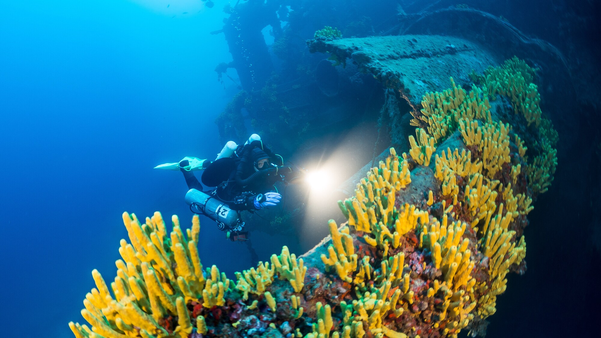 Eine Person in Tauchausrüstung, die mit einer Taschenlampe ein versunkenes Wrack, das mit Korallen bewachsen ist, beleuchtet.
