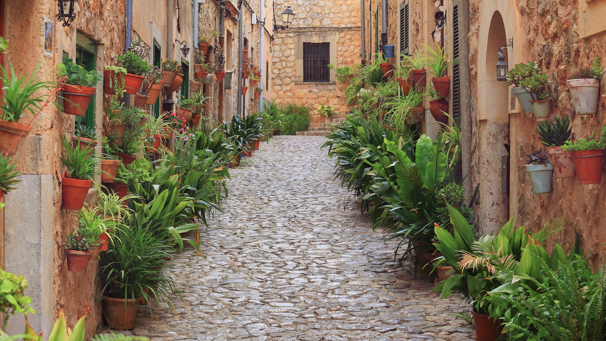 Eine schmale Gasse mit Kopfsteinpflaster. Die Häuserfassaden sind mit zahlreichen Terrakottatöpfen und Pflanzen geschmückt. Eine schmale Gasse mit Kopfsteinpflaster. Die Häuserfassaden sind mit zahlreichen Terrakottatöpfen und Pflanzen geschmückt.