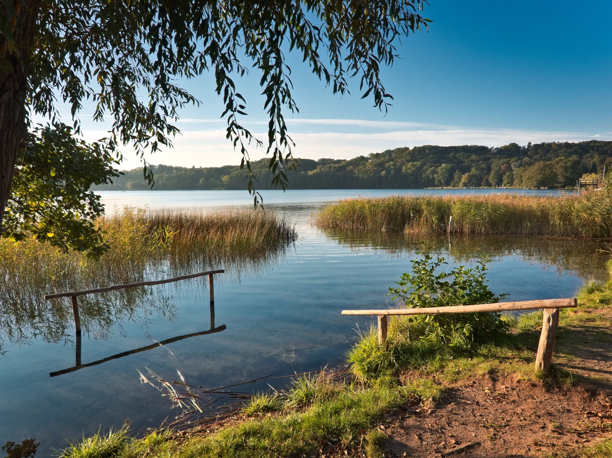 Idyllische Seelandschaft mit Schilf.