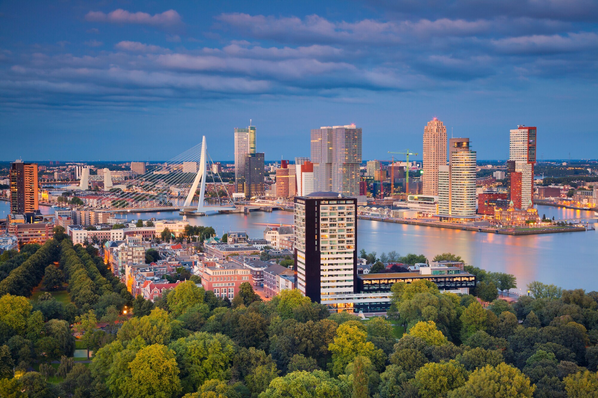 Blick von oben auf eine Stadt in der Dämmerung. Im Vordergrund sind Bäume zu sehen, im Hintergrund moderne Hochhäuser und eine Brücke über einem Fluss. Blick von oben auf eine Stadt in der Dämmerung. Im Vordergrund sind Bäume zu sehen, im Hintergrund moderne Hochhäuser und eine Brücke über einem Fluss.