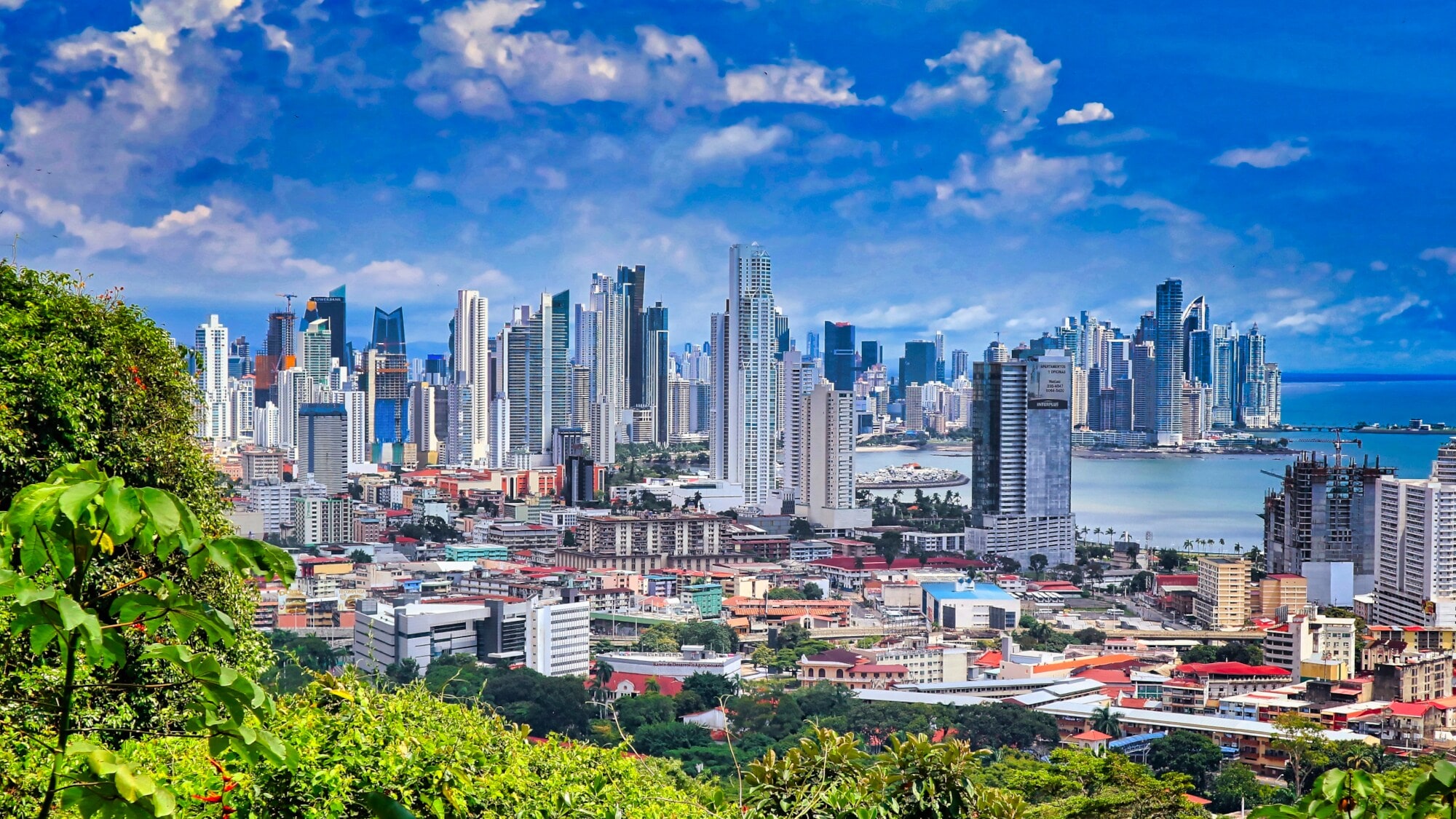 Panoramaaufnahme der Skyline von Panama City aus der Ferne mit Pflanzen im Vordergrund. Panoramaaufnahme der Skyline von Panama City aus der Ferne mit Pflanzen im Vordergrund.