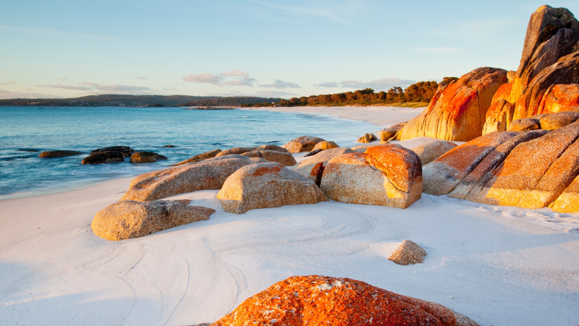Von roten Flechten überzogene Granitfelsen in der Bay of Fires in Tasmanien. Von roten Flechten überzogene Granitfelsen in der Bay of Fires in Tasmanien.