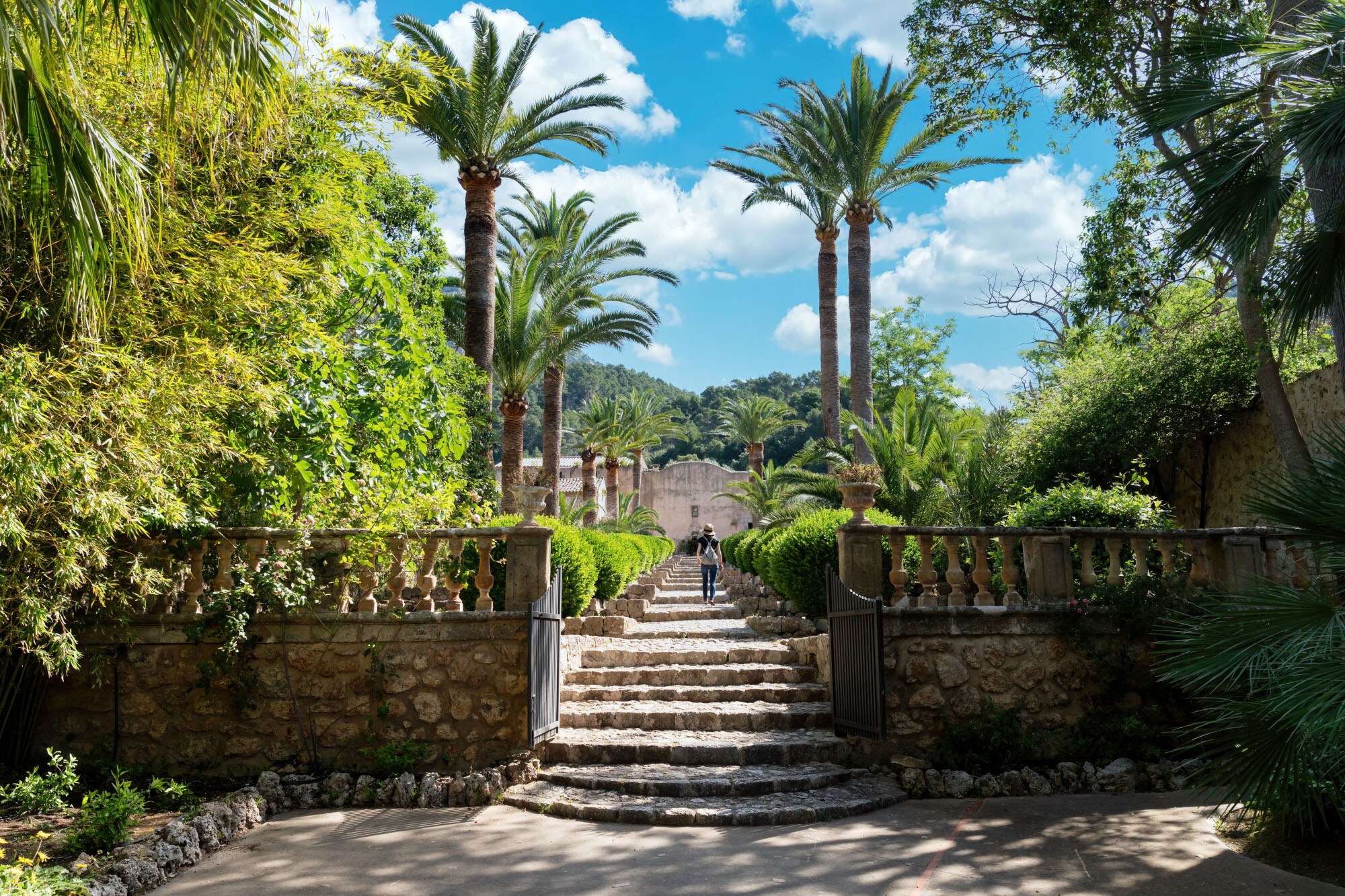 Rückansicht einer Person auf einer Steintreppe am Eingang einer Gartenanlage. Rückansicht einer Person auf einer Steintreppe am Eingang einer Gartenanlage.