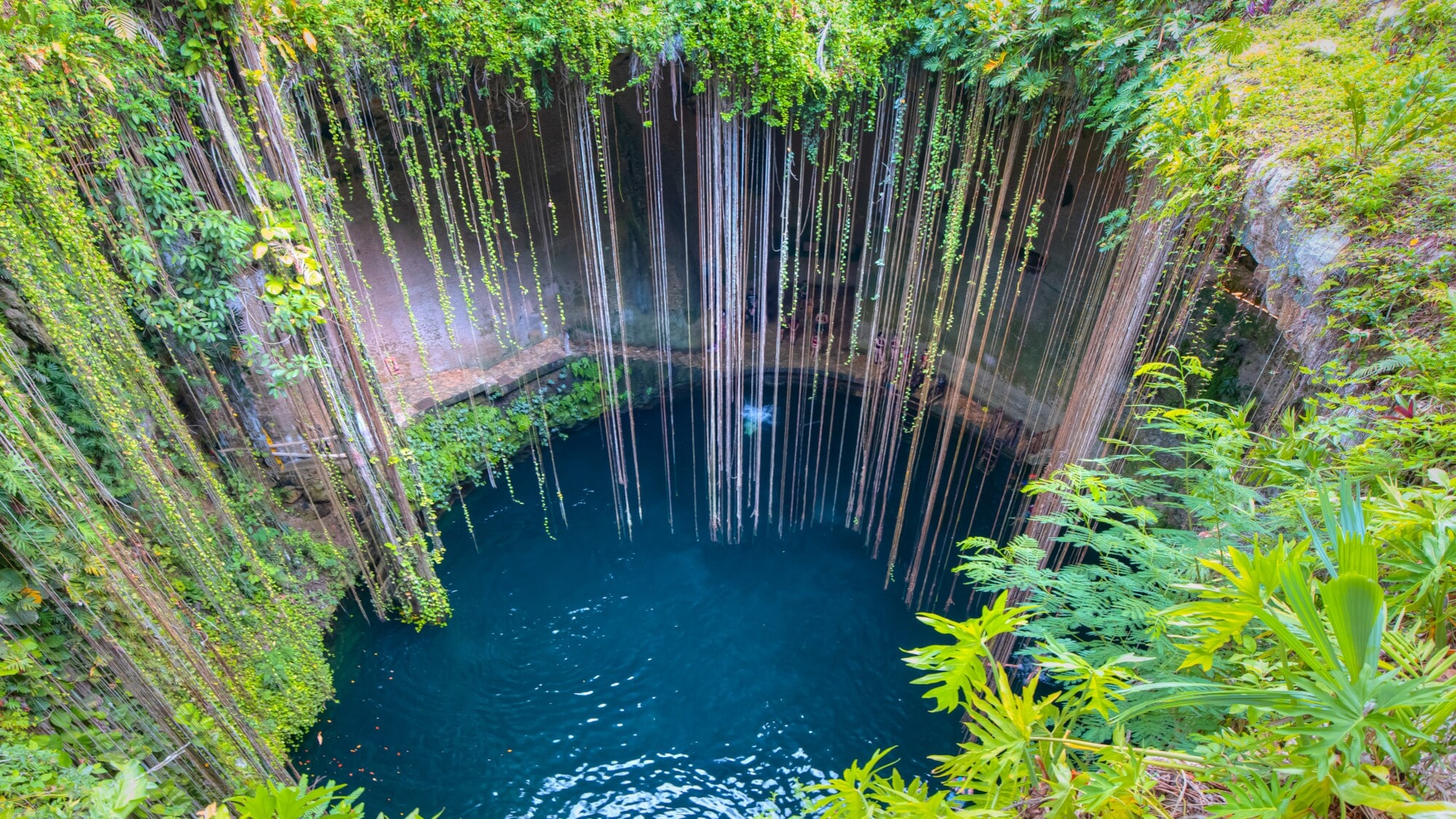 Eine Aufnahme einer mit Wasser gefüllten Höhle von oben, die mit verschiedenen Pflanzen bewachsen ist und in die Lianen hineinragen. Eine Aufnahme einer mit Wasser gefüllten Höhle von oben, die mit verschiedenen Pflanzen bewachsen ist und in die Lianen hineinragen.