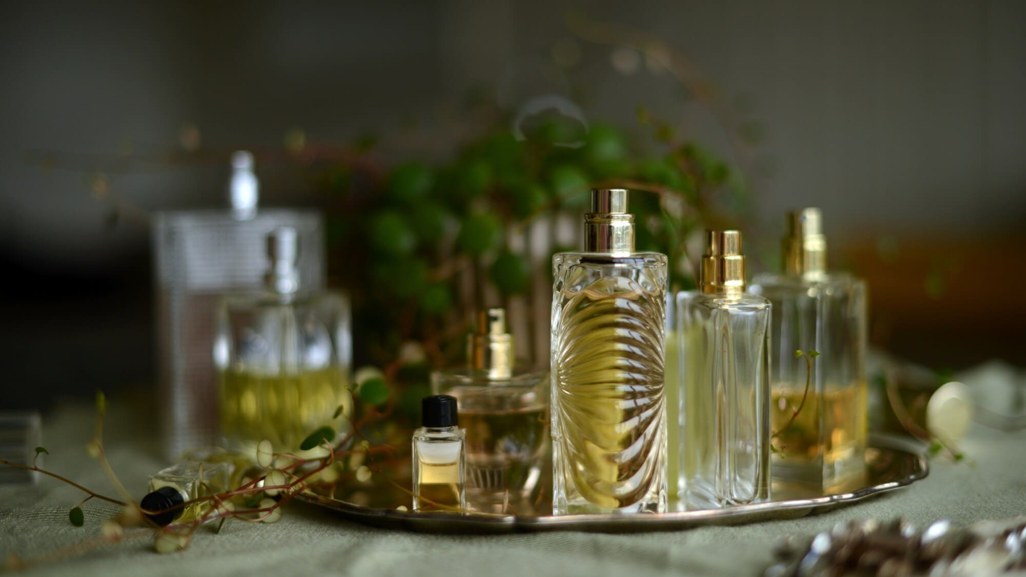 Heutzutage wird der Moschusduft synthetisch hergestellt – ähnlich wie bei bestimmten Lebensmittelaromen. Heutzutage wird der Moschusduft synthetisch hergestellt – ähnlich wie bei bestimmten Lebensmittelaromen.