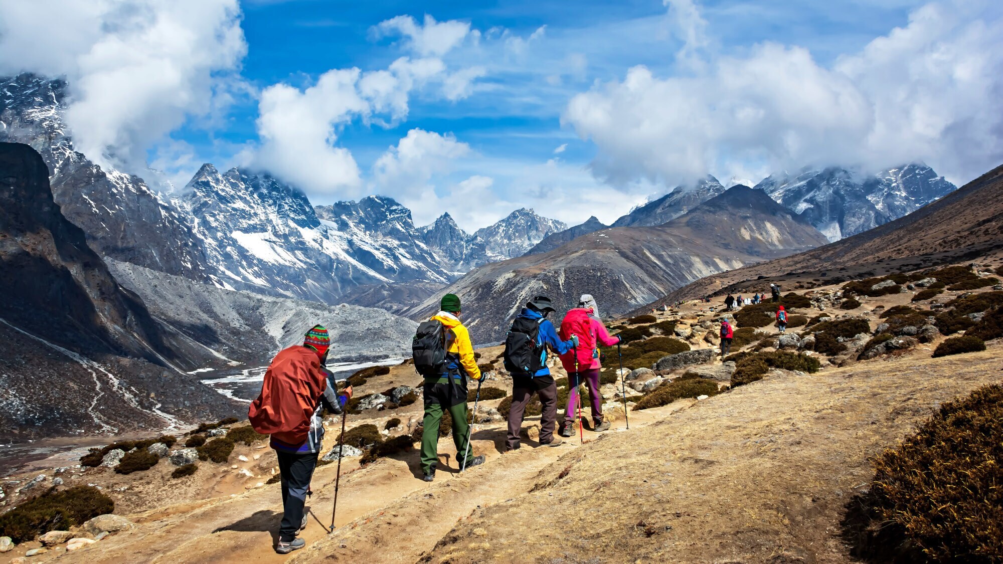 Rückansicht einer Gruppe Wandernde mit Gepäck und Wanderstöcken auf einem Pfad im Hochgebirge.