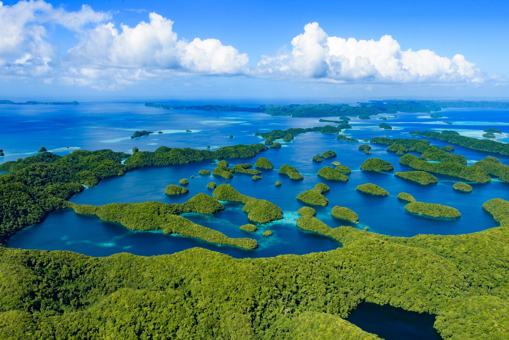 Zahlreiche kleine Inseln mit tropischem Dschungel im tiefblauen Wasser.