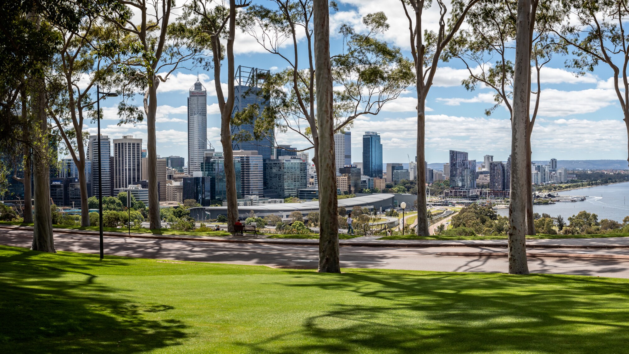 Allee im Kings Park in Perth mit der Skyline im Hintergrund.