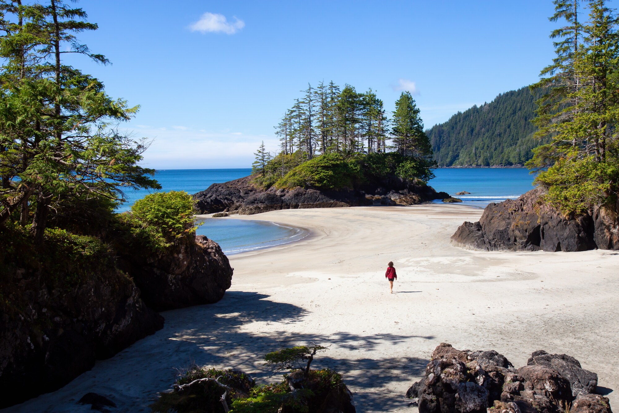Eine Person an einem Sandstrand mit Felsen in einem Waldgebiet an einer Meeresküste. Eine Person an einem Sandstrand mit Felsen in einem Waldgebiet an einer Meeresküste.
