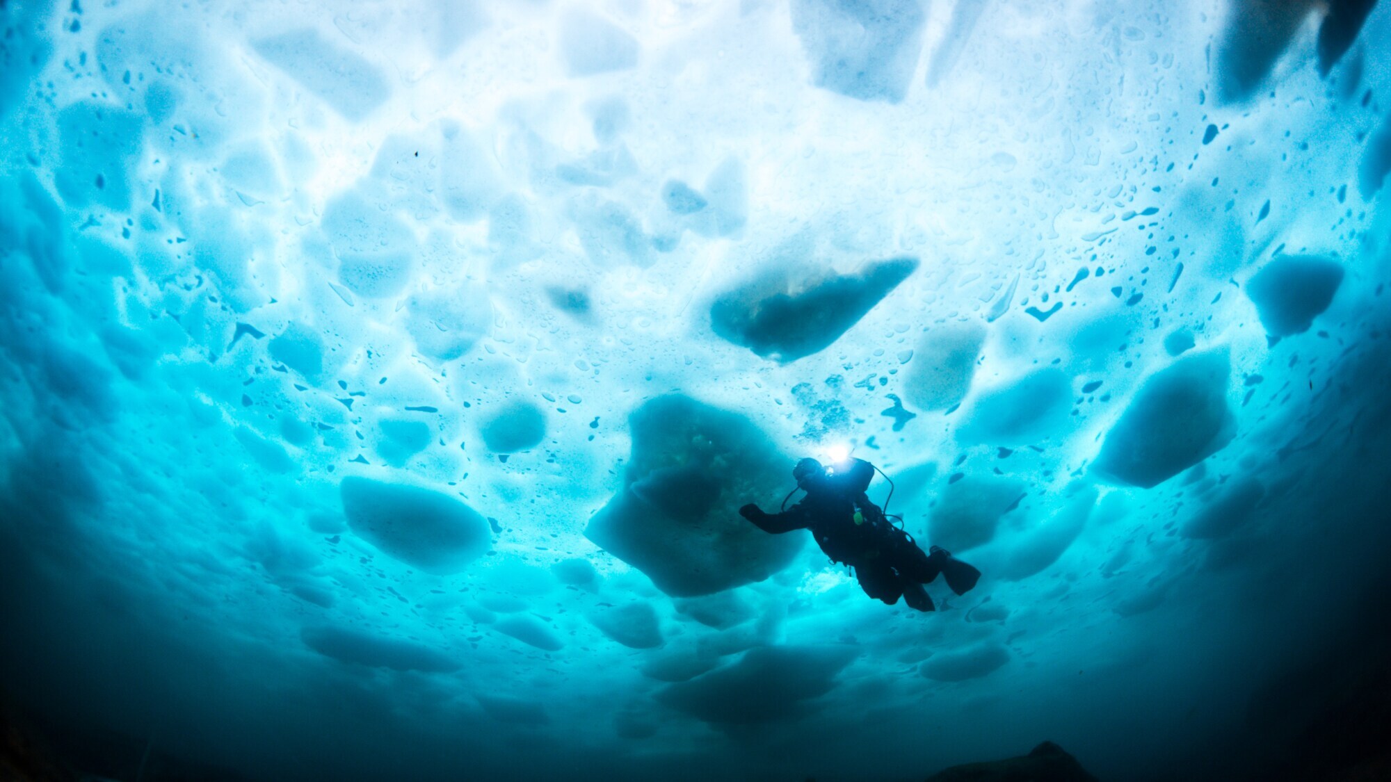 Person in Taucherausrüstung, die im Wasser unter einer Eisdecke schwimmt.