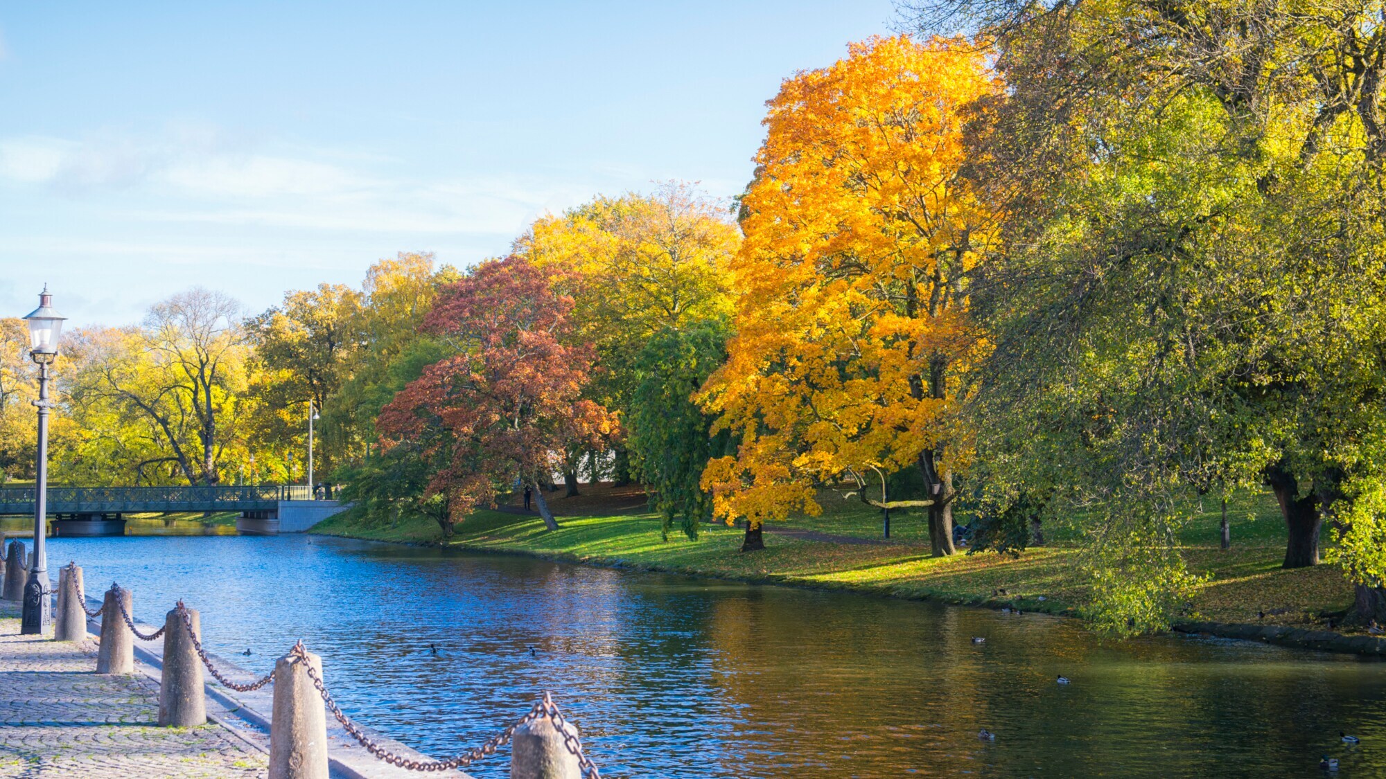 Kanalanlage in Göteborg, die von Bäumen mit bunten Blättern gesäumt ist.