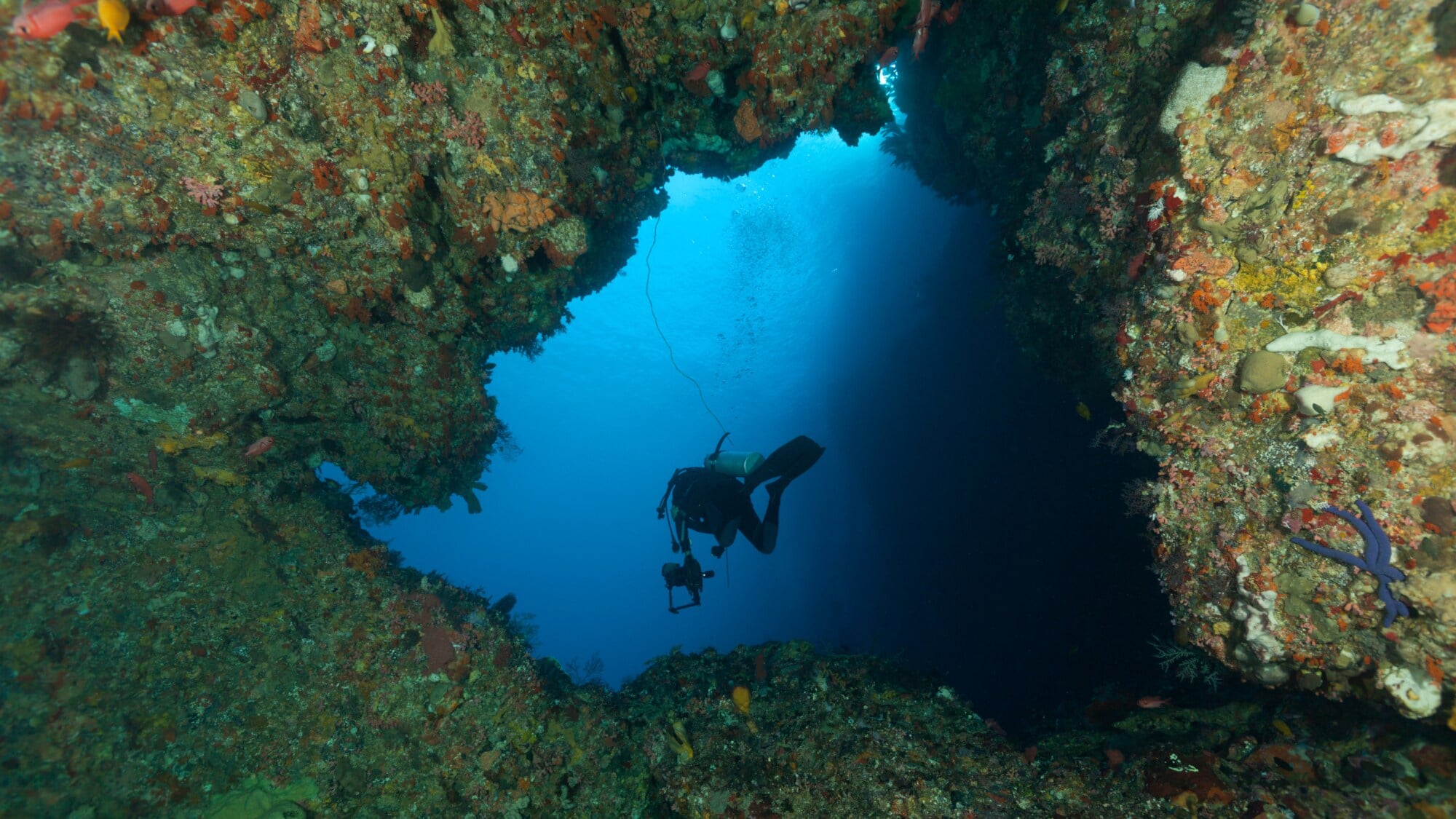 eine Person mit Tauchausrüstung, die aus einer Höhle hinausschwimmt. eine Person mit Tauchausrüstung, die aus einer Höhle hinausschwimmt.