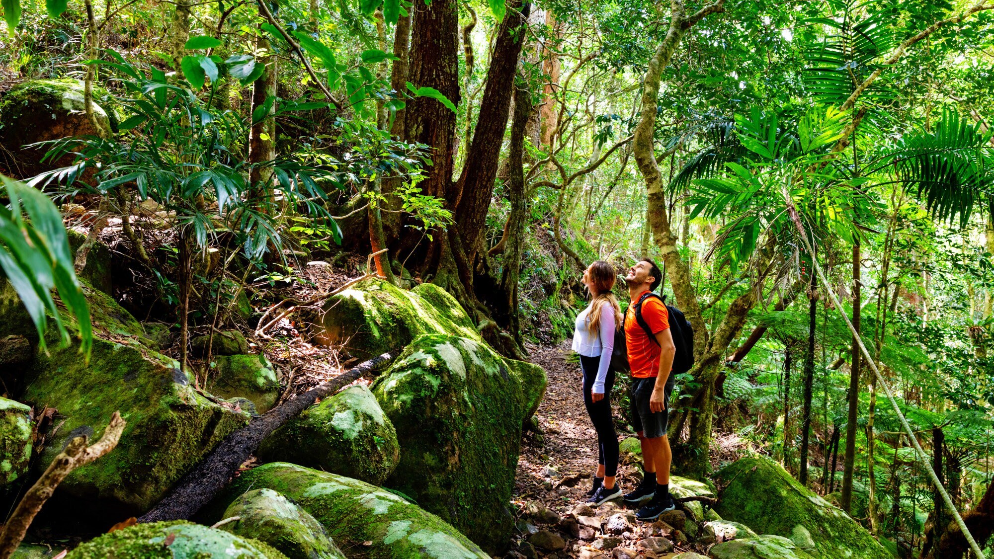 Ein Par mit Rucksäcken auf einem Wanderweg inmitten eines tropischen Dschungels. Ein Par mit Rucksäcken auf einem Wanderweg inmitten eines tropischen Dschungels.