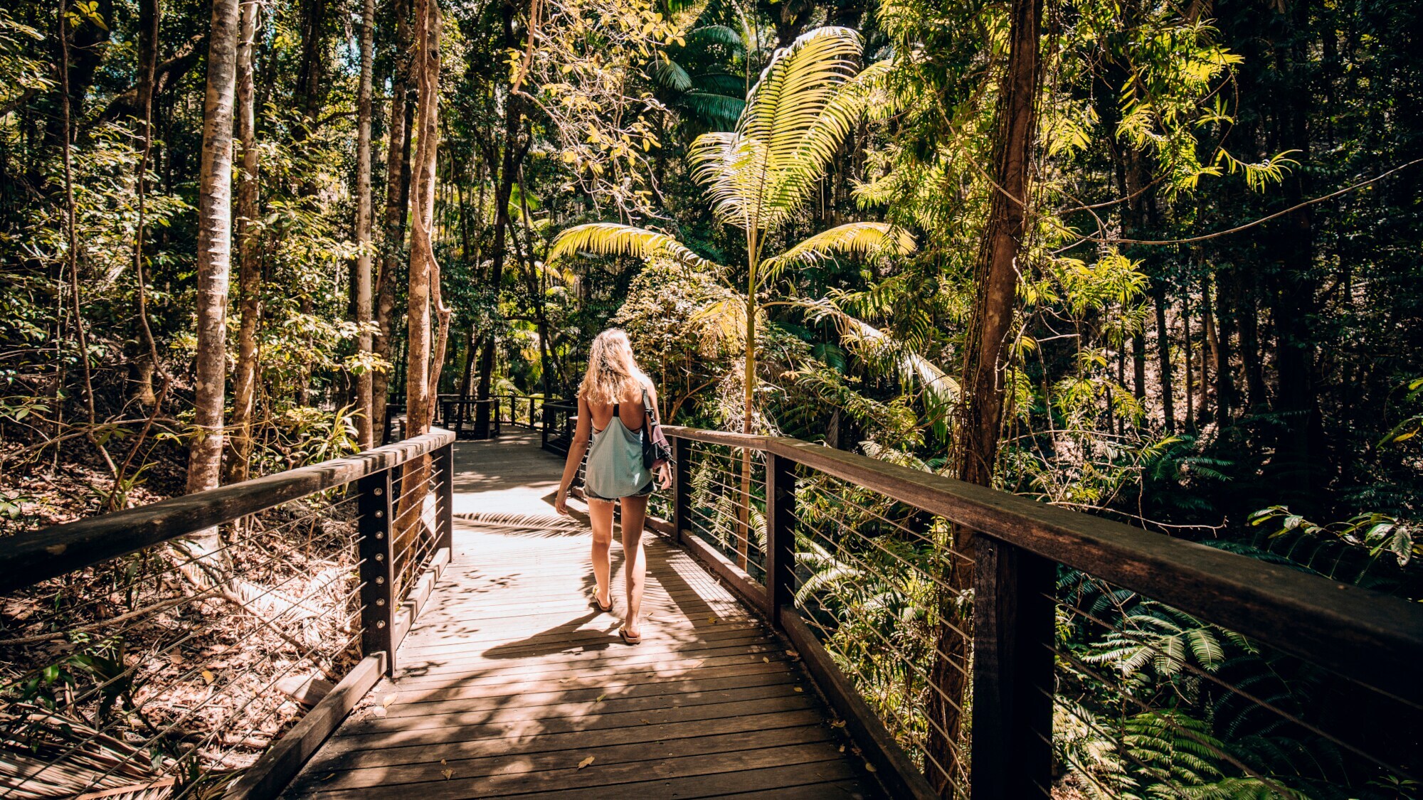 Rückenaufnahme einer Frau, die auf einem Holzsteg durch eine Regenwaldlandschaft läuft.