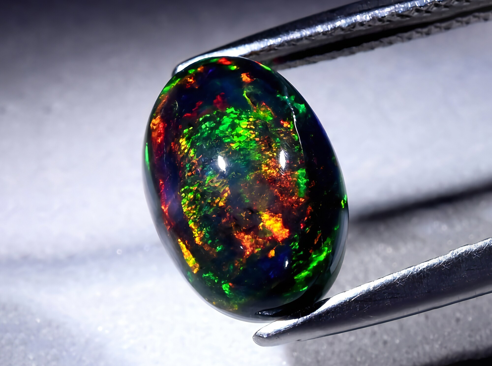 Nahaufnahme eines ovalen schwarzen Opals mit buntem Farbenspiel zwischen einer Pinzette.