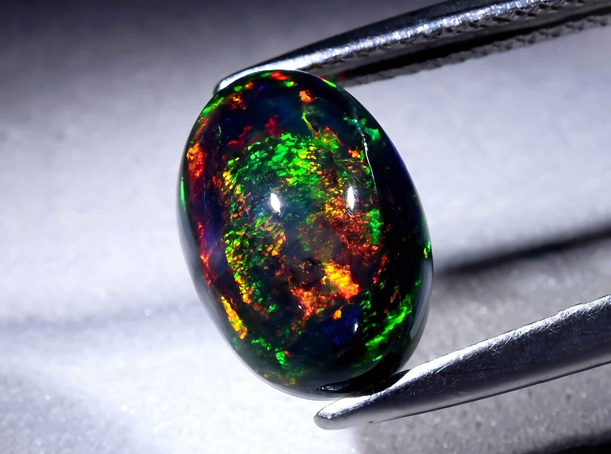 Nahaufnahme eines ovalen schwarzen Opals mit buntem Farbenspiel zwischen einer Pinzette. Nahaufnahme eines ovalen schwarzen Opals mit buntem Farbenspiel zwischen einer Pinzette.