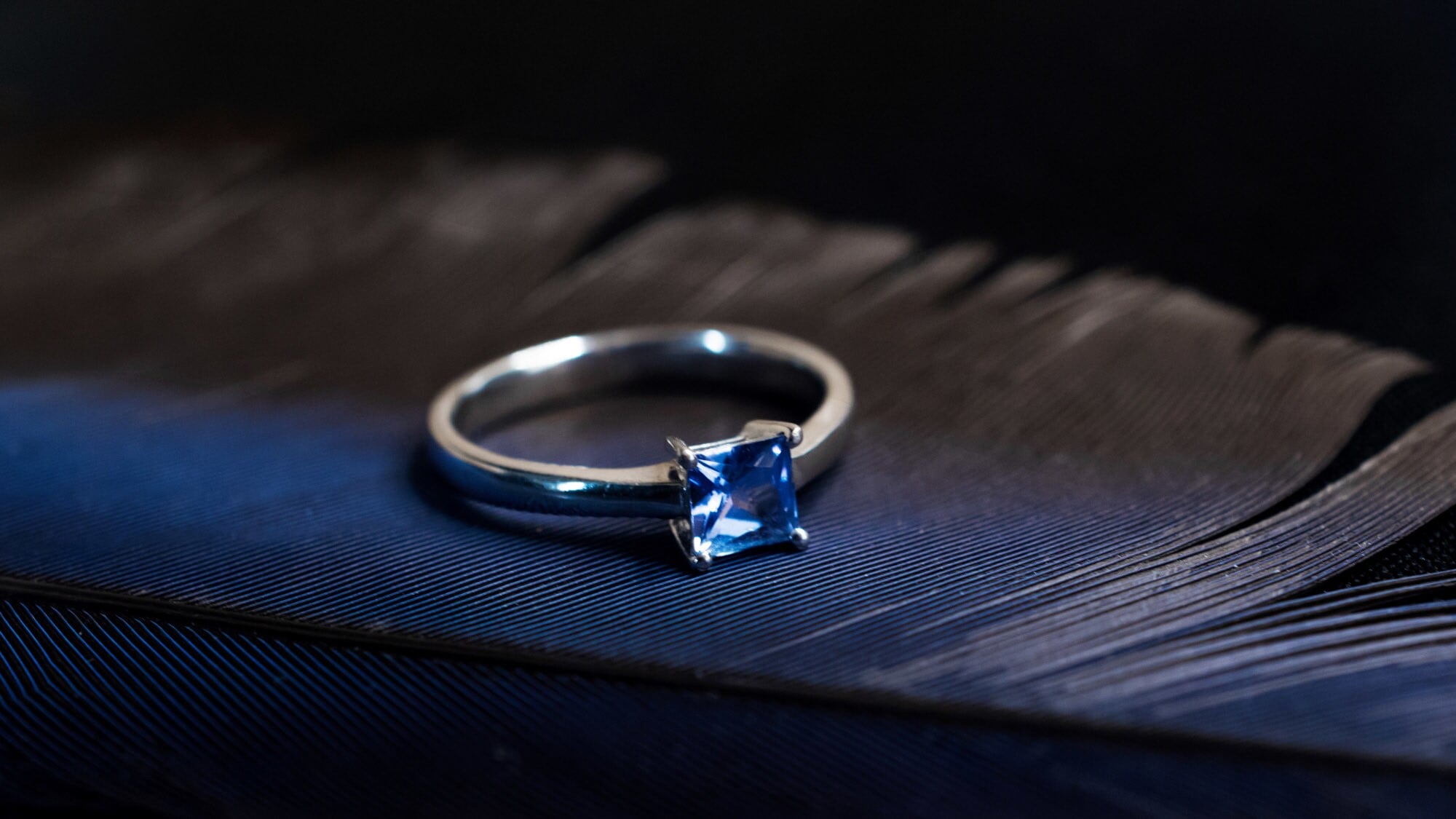 Ein Silberring mit blauem Edelstein auf einer schwarzen Feder. Ein Silberring mit blauem Edelstein auf einer schwarzen Feder.