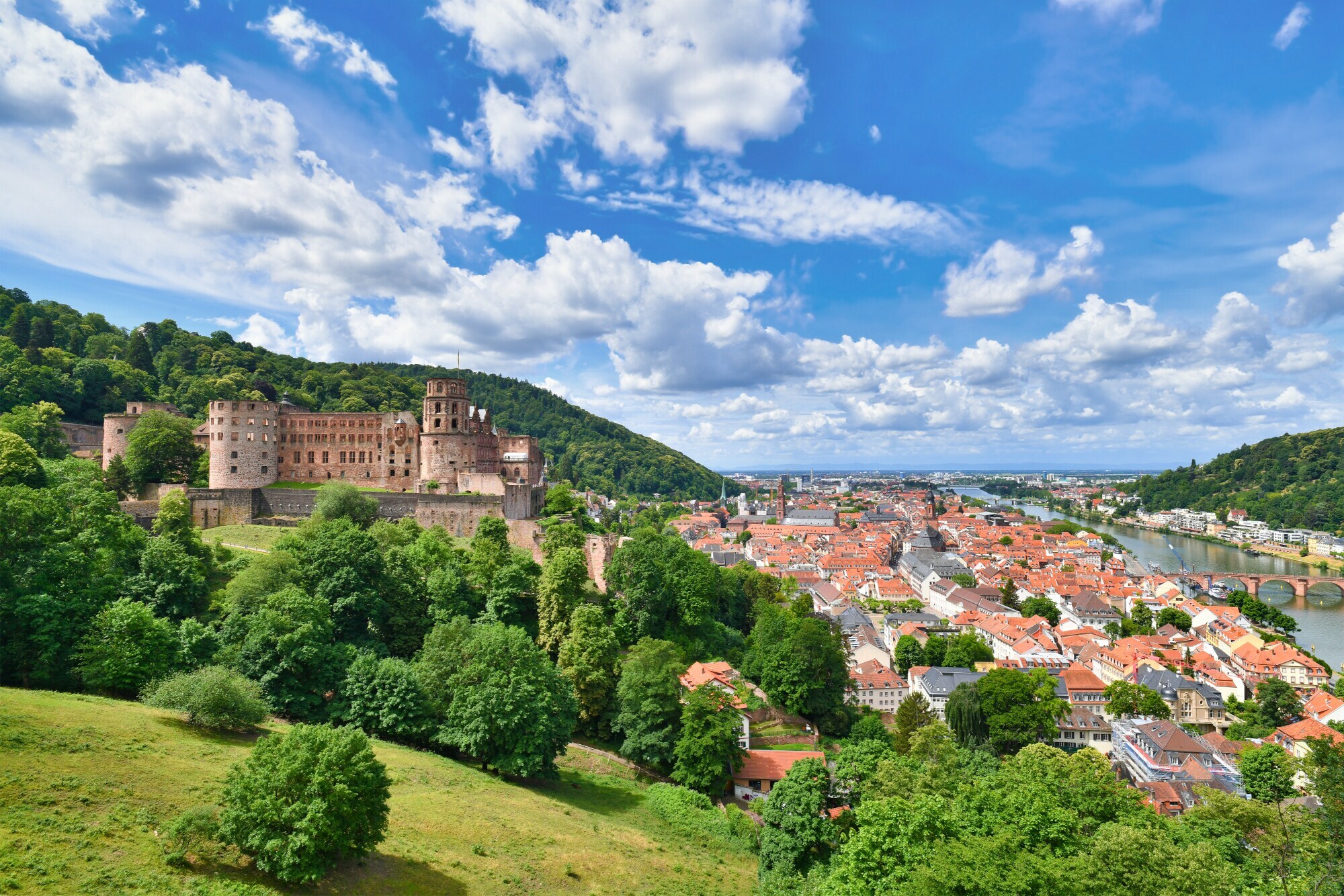 Blick auf das Heidelberger Schloss und die Altstadt.