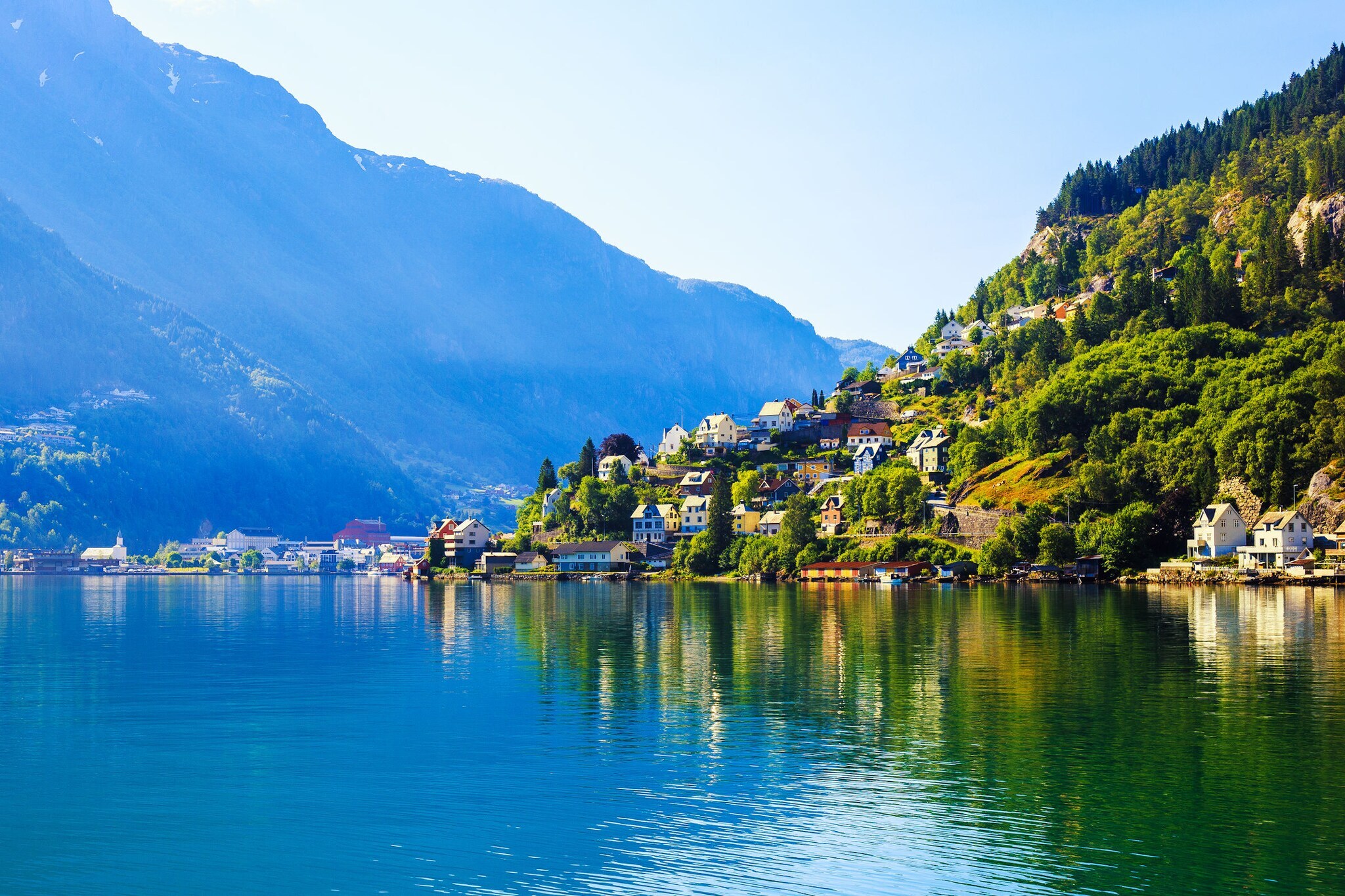 Bunte Häuser einer Stadt an einem bewaldeten Berghang am Wasser inmitten einer Fjordlandschaft.
