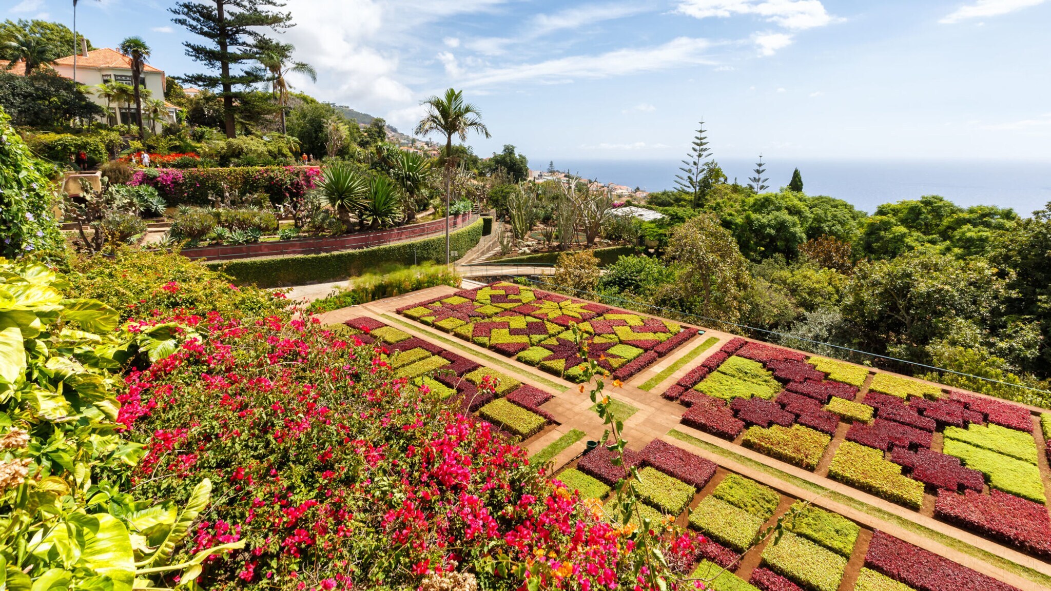 Anlage des Botanischen Gartens in Funchal mit verschiedenen Blumenbeeten und Pflanzen. Anlage des Botanischen Gartens in Funchal mit verschiedenen Blumenbeeten und Pflanzen.