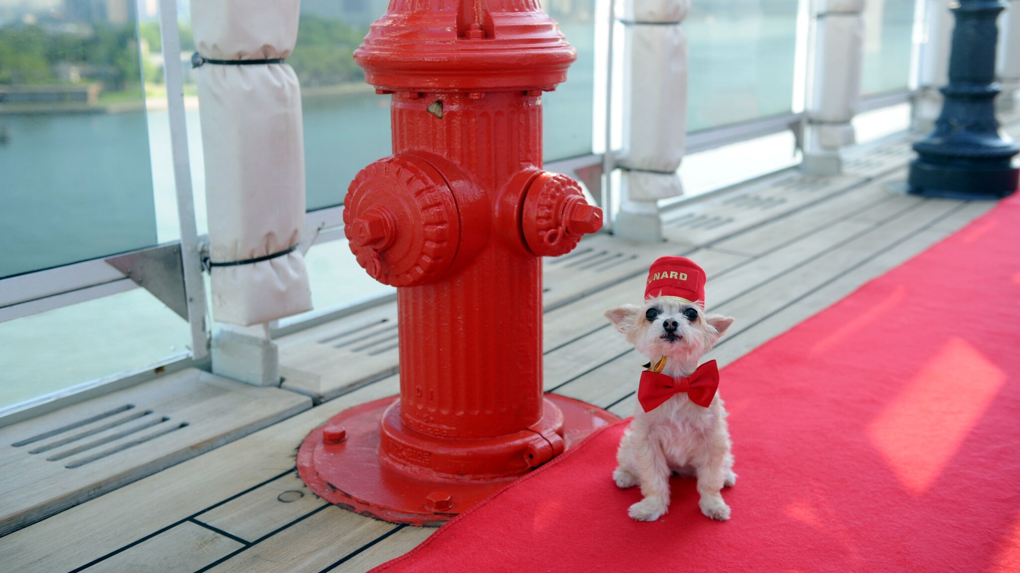 Ein kleiner Hund mit Hut und Fliege sitzt neben einem roten Feuerhydranten an der Reling eines Schiffes.