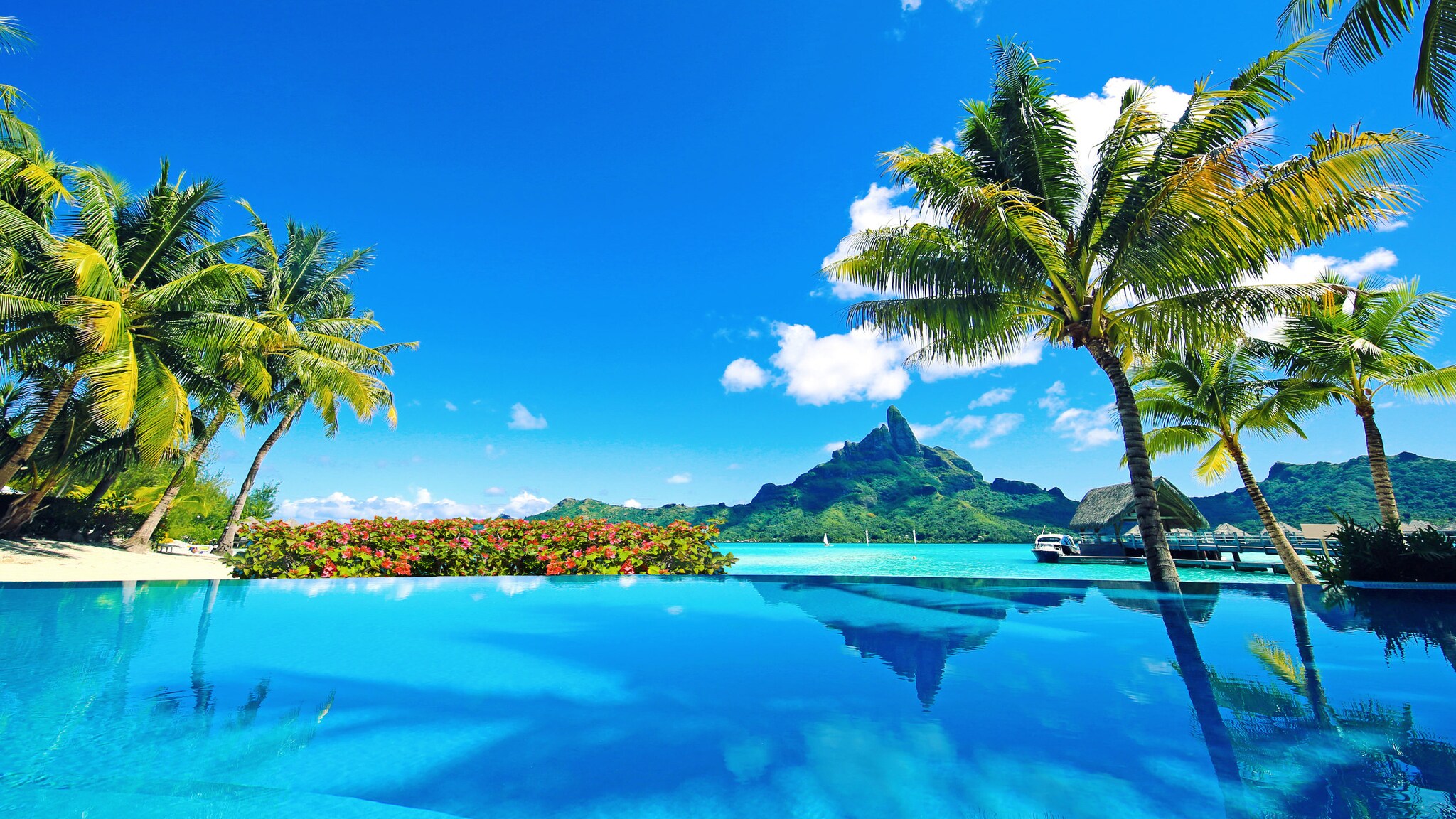 Von Palmen gesäumter Infinitypool an türkisblauer Lagune mit Blick auf eine Küste mit grüner Vegetation unter blauem Himmel. Von Palmen gesäumter Infinitypool an türkisblauer Lagune mit Blick auf eine Küste mit grüner Vegetation unter blauem Himmel.