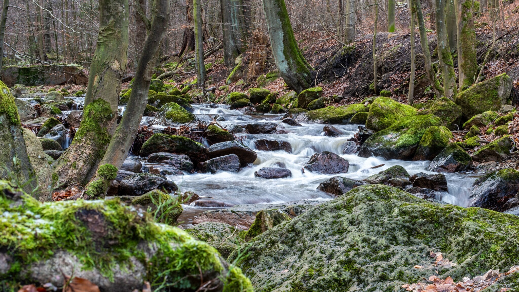 Fluss Ilse mit Wasserfall in Waldlandschaft im Harz. Fluss Ilse mit Wasserfall in Waldlandschaft im Harz.