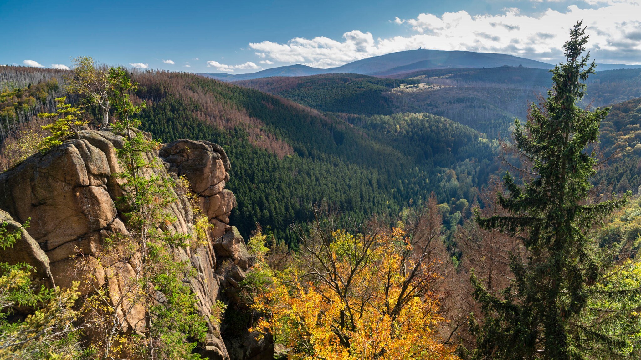 Blick über Waldlandschaft mit Gipfeln im Hintergrund im Herbst, ein Felsen im Vordergrund.