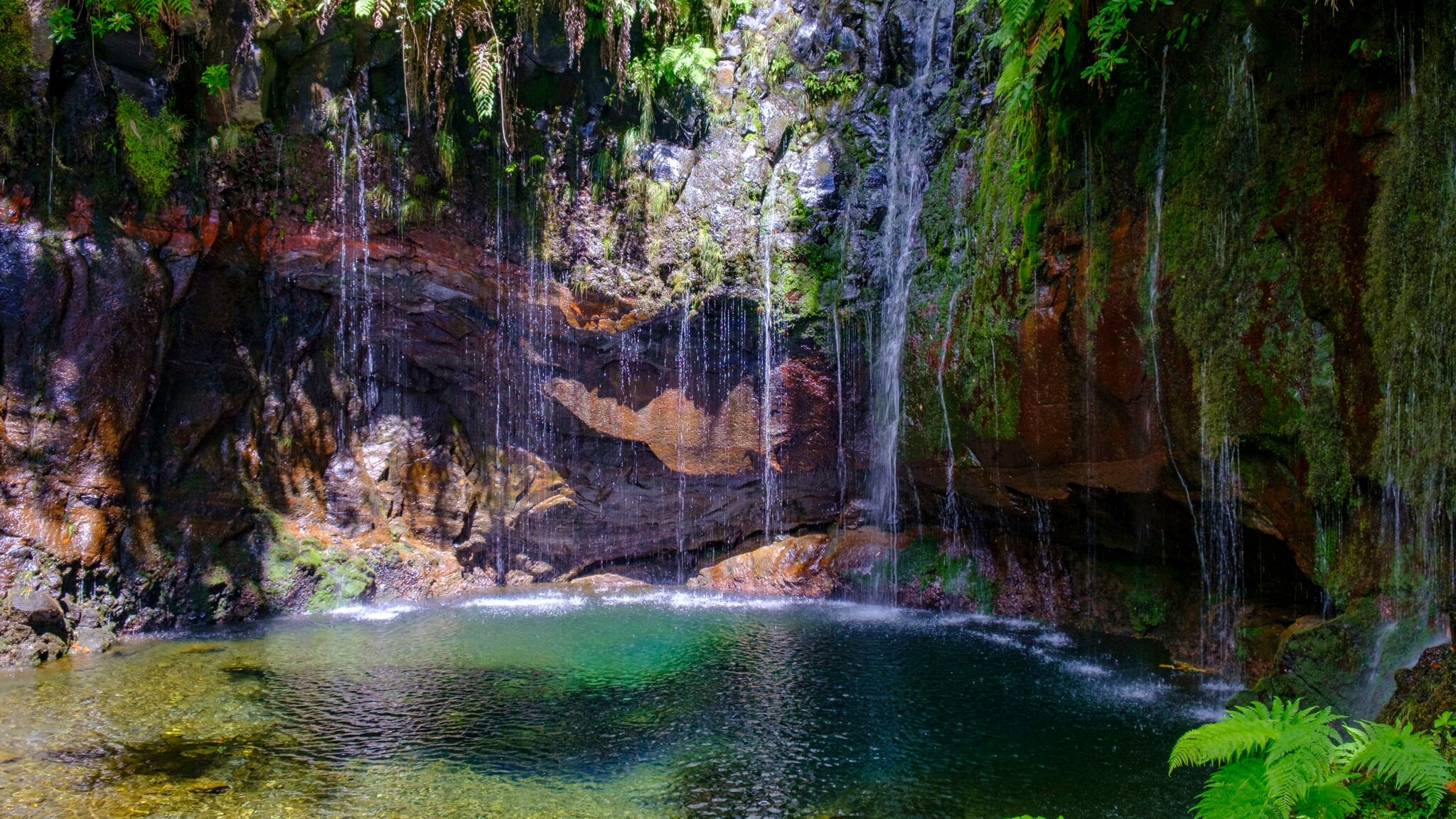 Nahaufnahme des Sees der 25 Quellen auf Madeira mit Felswand im Hintergrund, an der Wasser herabläuft. Nahaufnahme des Sees der 25 Quellen auf Madeira mit Felswand im Hintergrund, an der Wasser herabläuft.