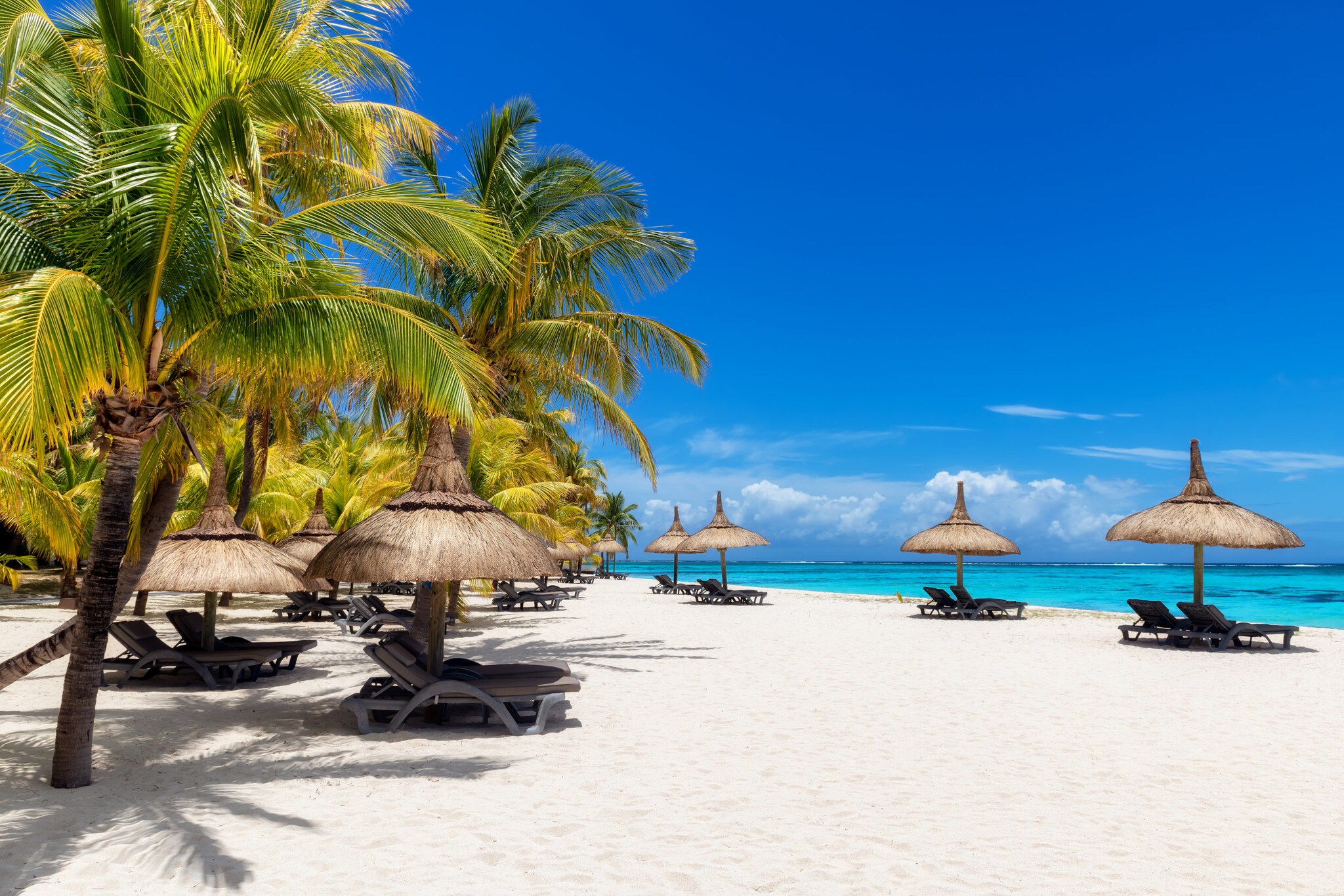 Weißer Sandstrand auf Mauritius mit Sonnenliegen, Strohschirmen, grünen Palmen und türkisfarbenem Meer. Weißer Sandstrand auf Mauritius mit Sonnenliegen, Strohschirmen, grünen Palmen und türkisfarbenem Meer.