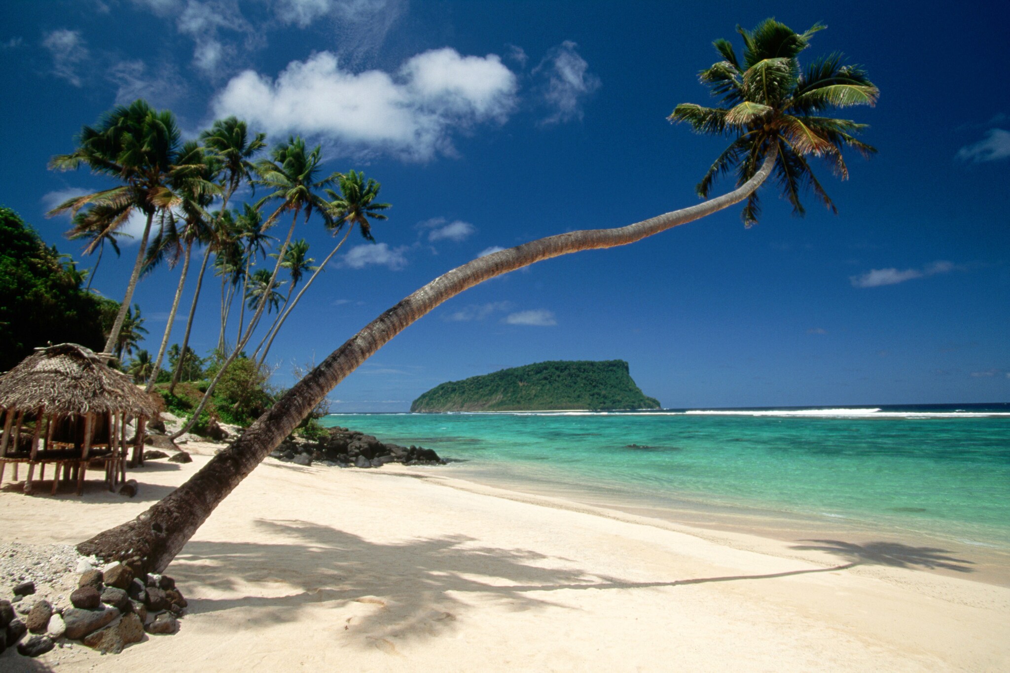 Weißer, palmengesäumter Sandstrand an türkisblauem Meer, im Vordergrund eine waagerecht gewachsene Palme.