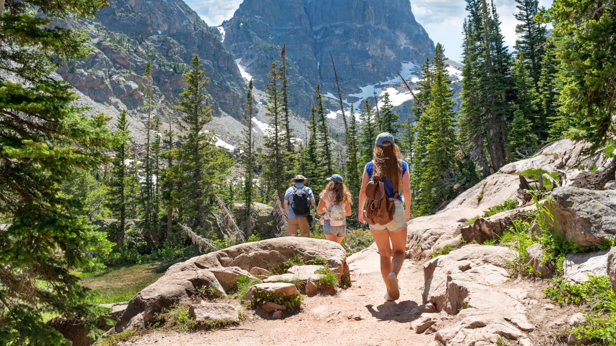 Rückansicht von drei Personen in Sommerkleidung und mit Rucksäcken auf einem Wanderweg in Berglandschaft mit Nadelwald. Rückansicht von drei Personen in Sommerkleidung und mit Rucksäcken auf einem Wanderweg in Berglandschaft mit Nadelwald.