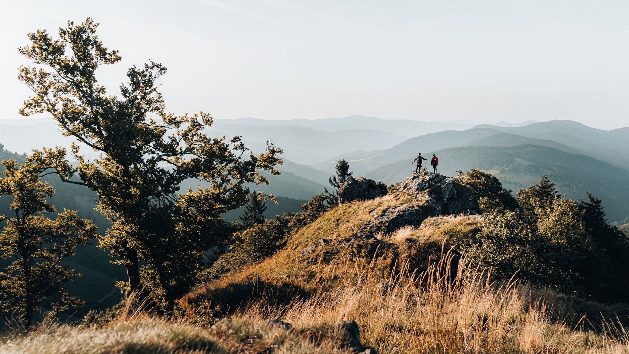 Zwei Personen stehen auf einem Felsen und blicken in die Ferne, im Hintergrund Gipfel im Schwarzwald.