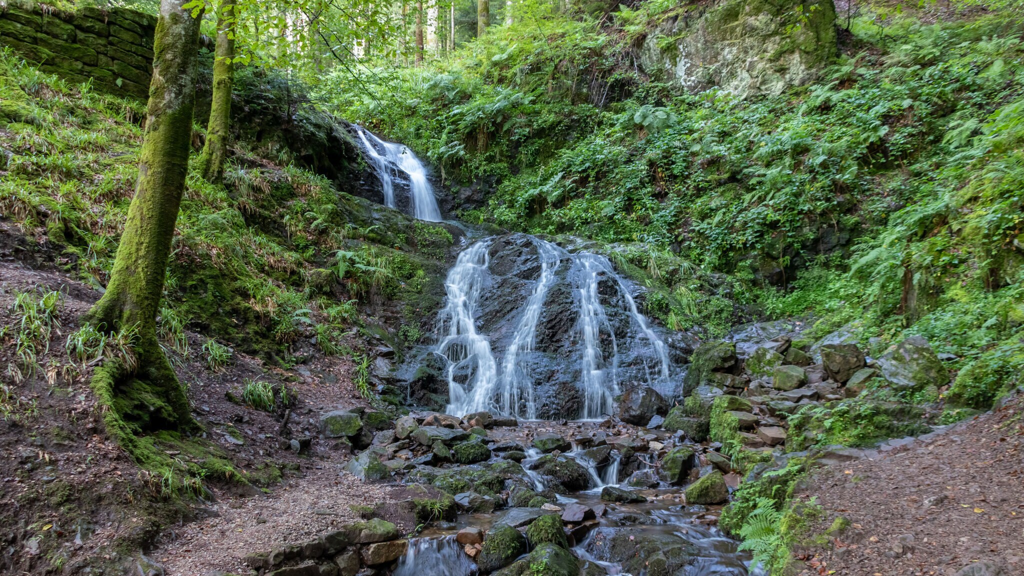 Wasser fließt den Holchenwasserfall im Schwarzwald hinab.