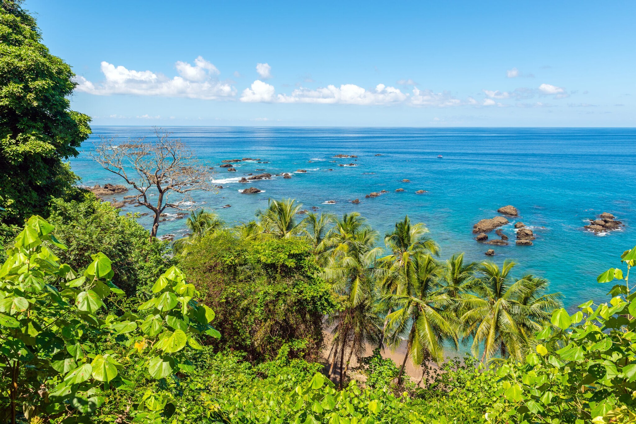 Tropische Insel mit Dschungel und Palmen am Strand.