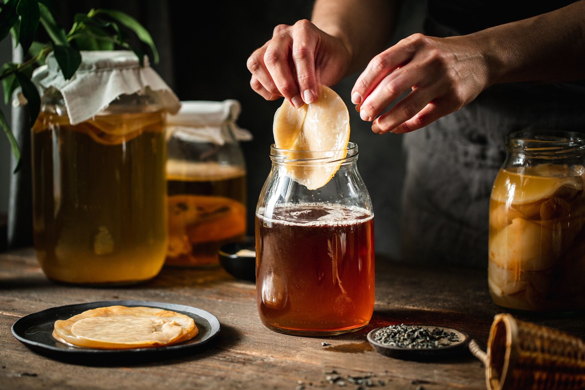 Ein Kombucha-Pilz wird von einer Hand in ein Gefäß mit brauner Flüssigkeit auf einem Holztisch gegeben, daneben weitere befüllte Einmachgläser.