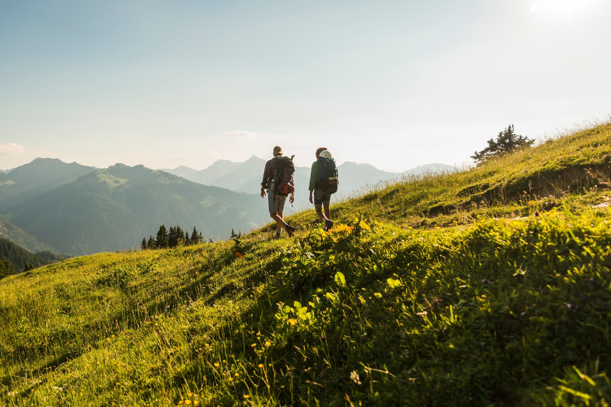 Rückenansicht von zwei Personen, die über eine Bergwiese in Österreich wandern. Rückenansicht von zwei Personen, die über eine Bergwiese in Österreich wandern.