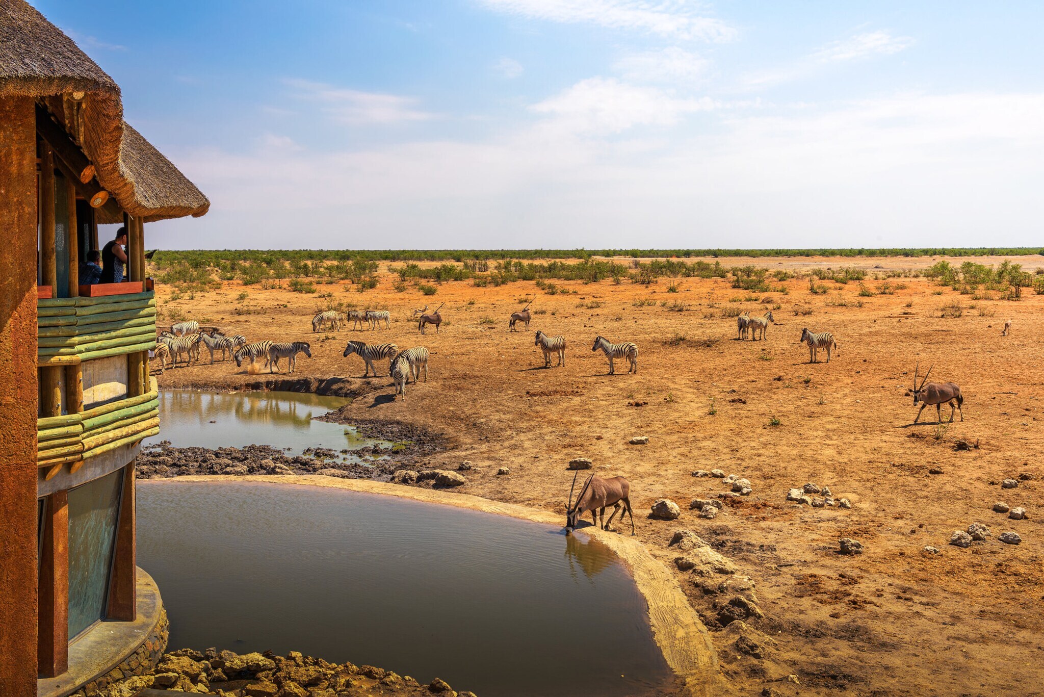 Zebras und Antilopen an einem Wasserloch bei einer Lodge in der Steppe.