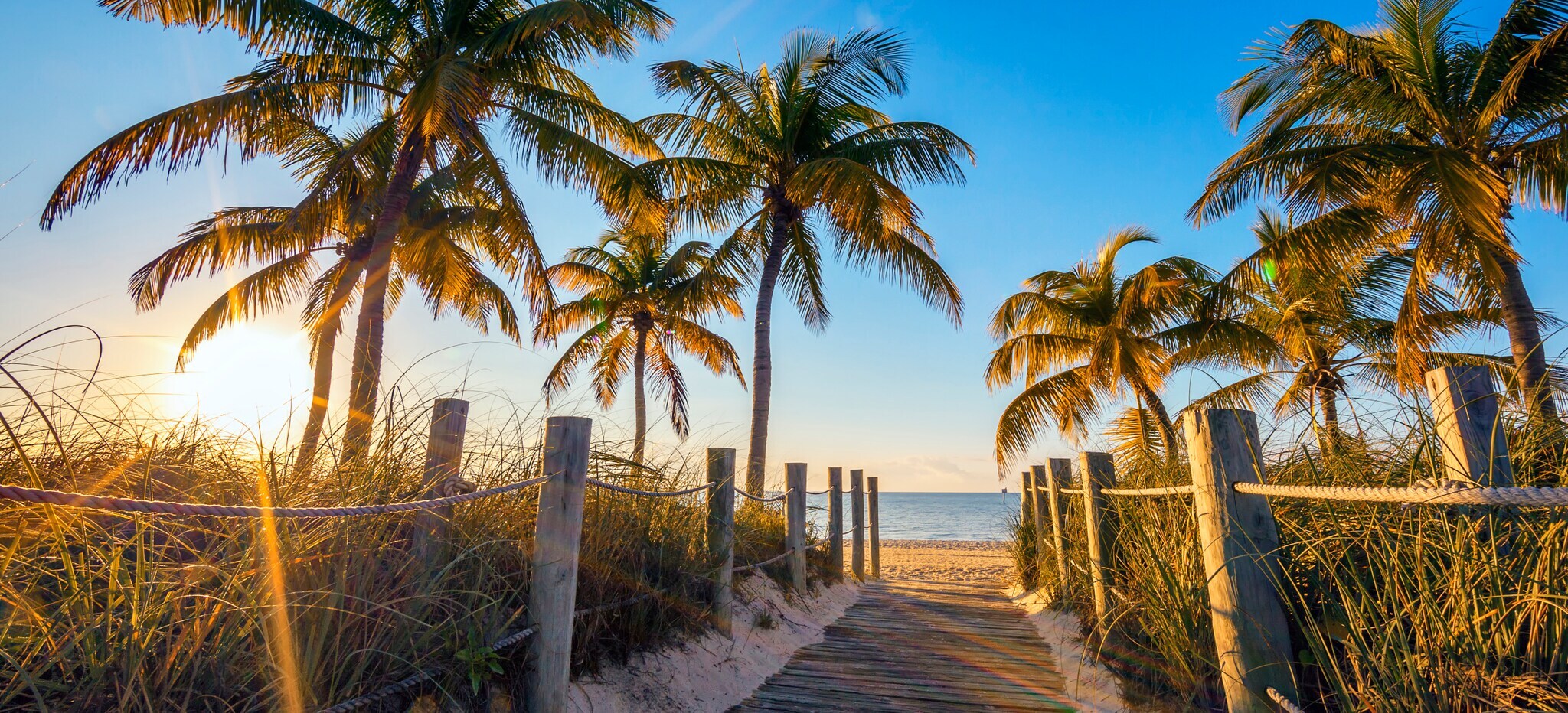 Weg zu einem Sandstrand mit Palmen unter blauem Himmel im warmen Sonnenlicht. Weg zu einem Sandstrand mit Palmen unter blauem Himmel im warmen Sonnenlicht.