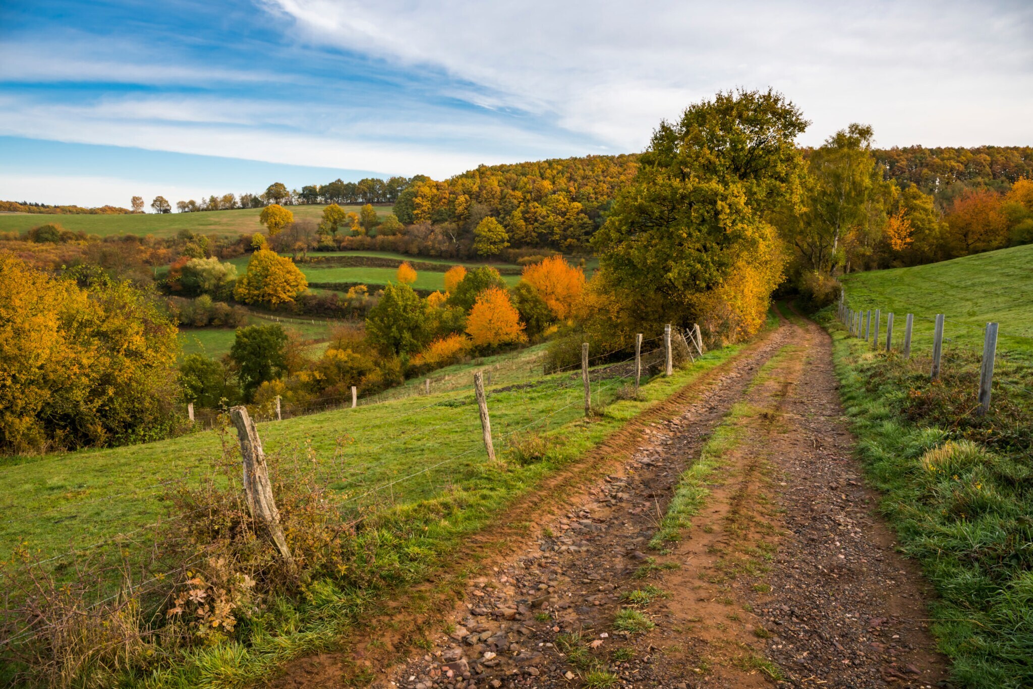 Ein Feldweg durch eine hügelige Wiesen- und Waldlandschaft im Herbst. Ein Feldweg durch eine hügelige Wiesen- und Waldlandschaft im Herbst.