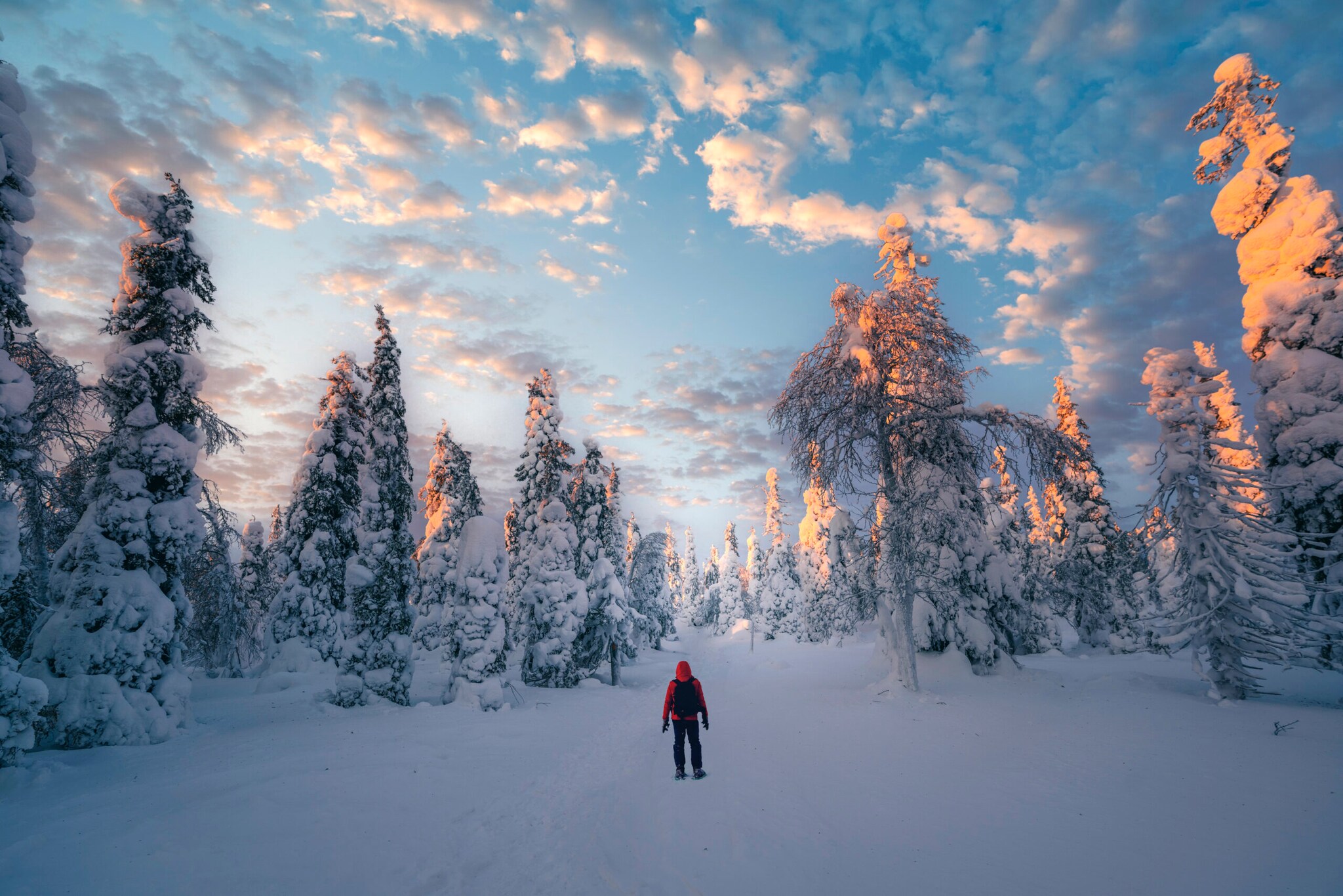 Eine Person von hinten in einem verschneiten Wald.