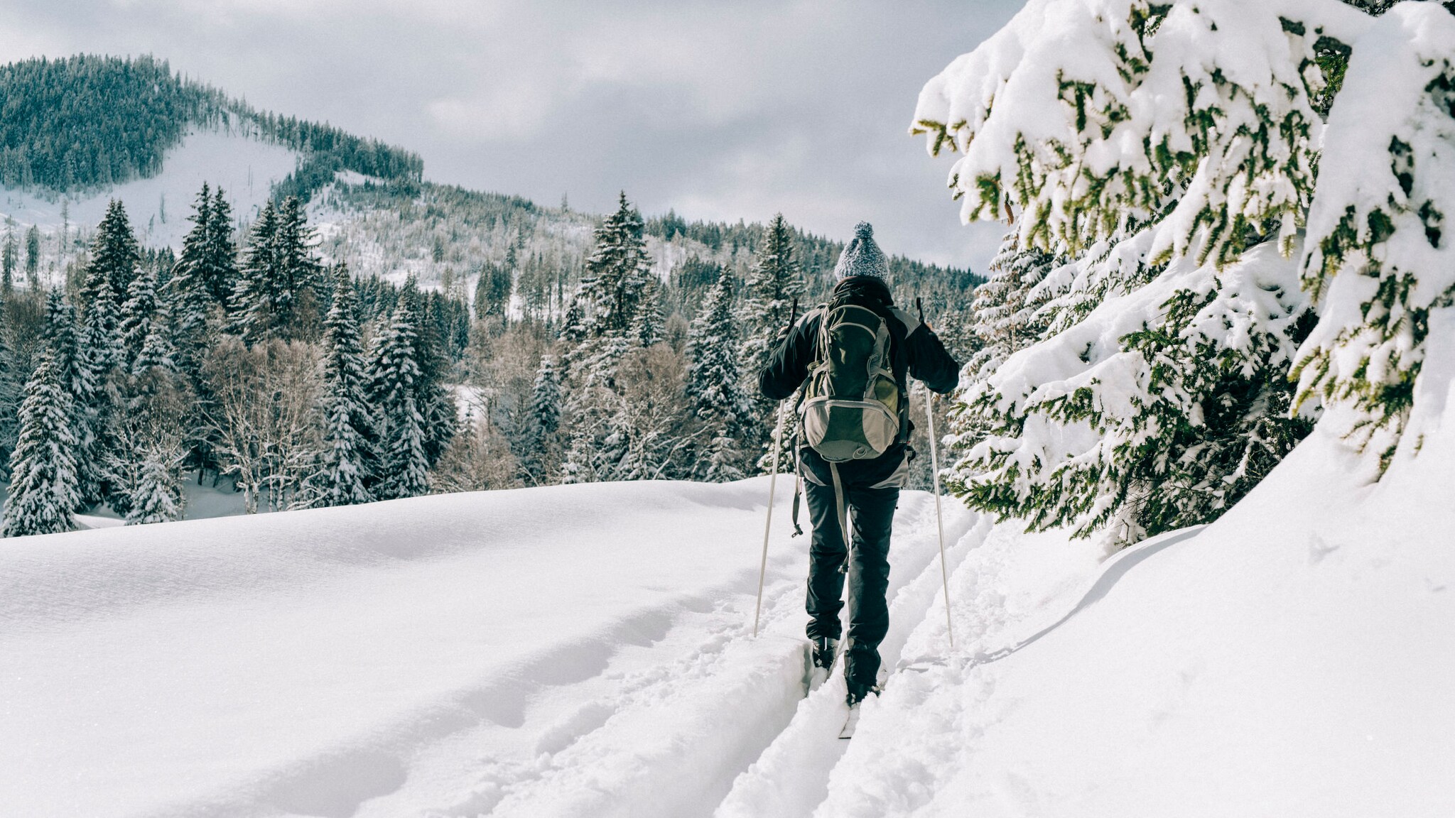 Person mit Rucksack und Skiausrüstung auf einer Langlaufloipe in Tschechien. Person mit Rucksack und Skiausrüstung auf einer Langlaufloipe in Tschechien.